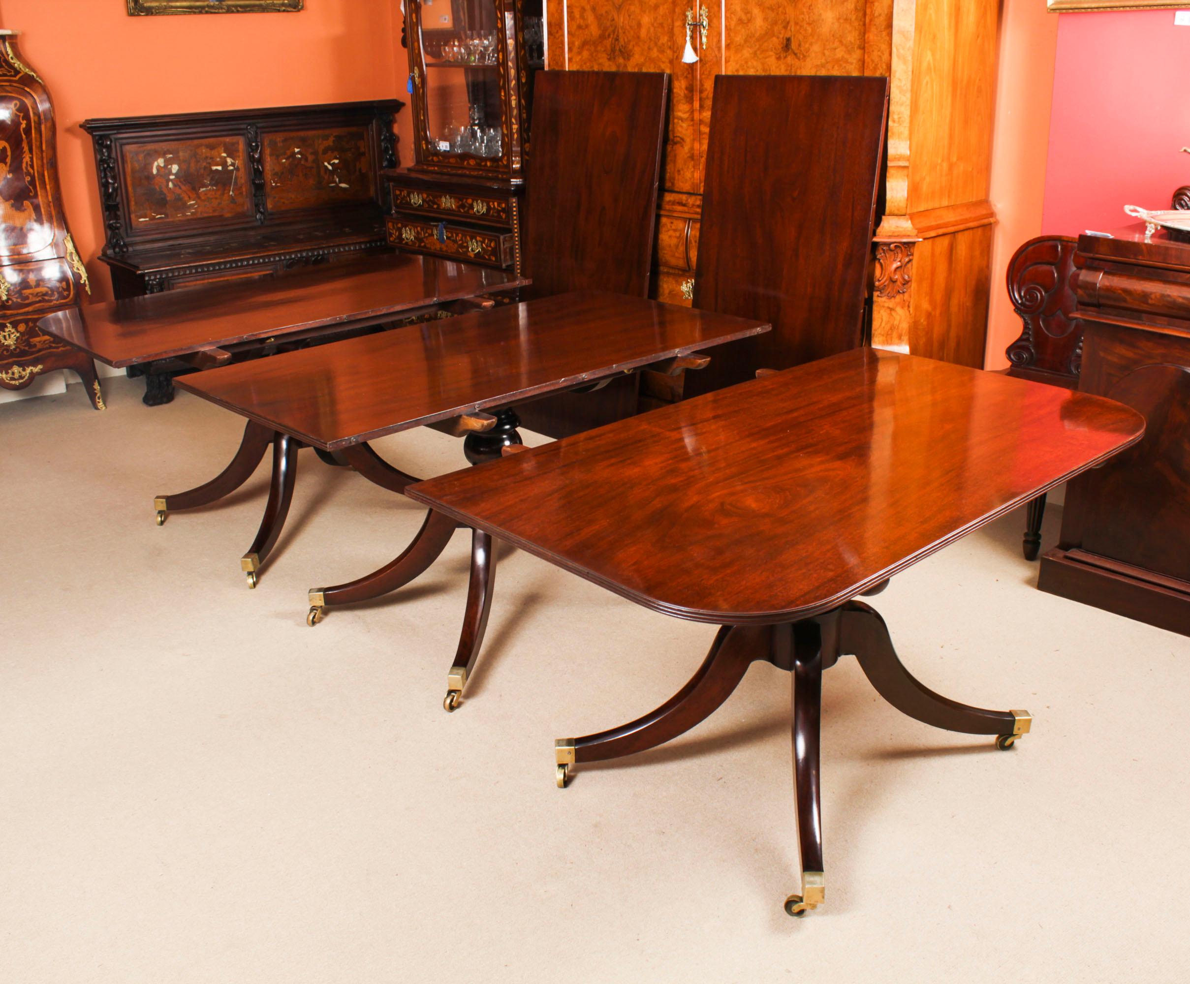 Antique12ft Regency Triple Pillar Dining Table C1830 19th C & 12 Chairs For Sale 4