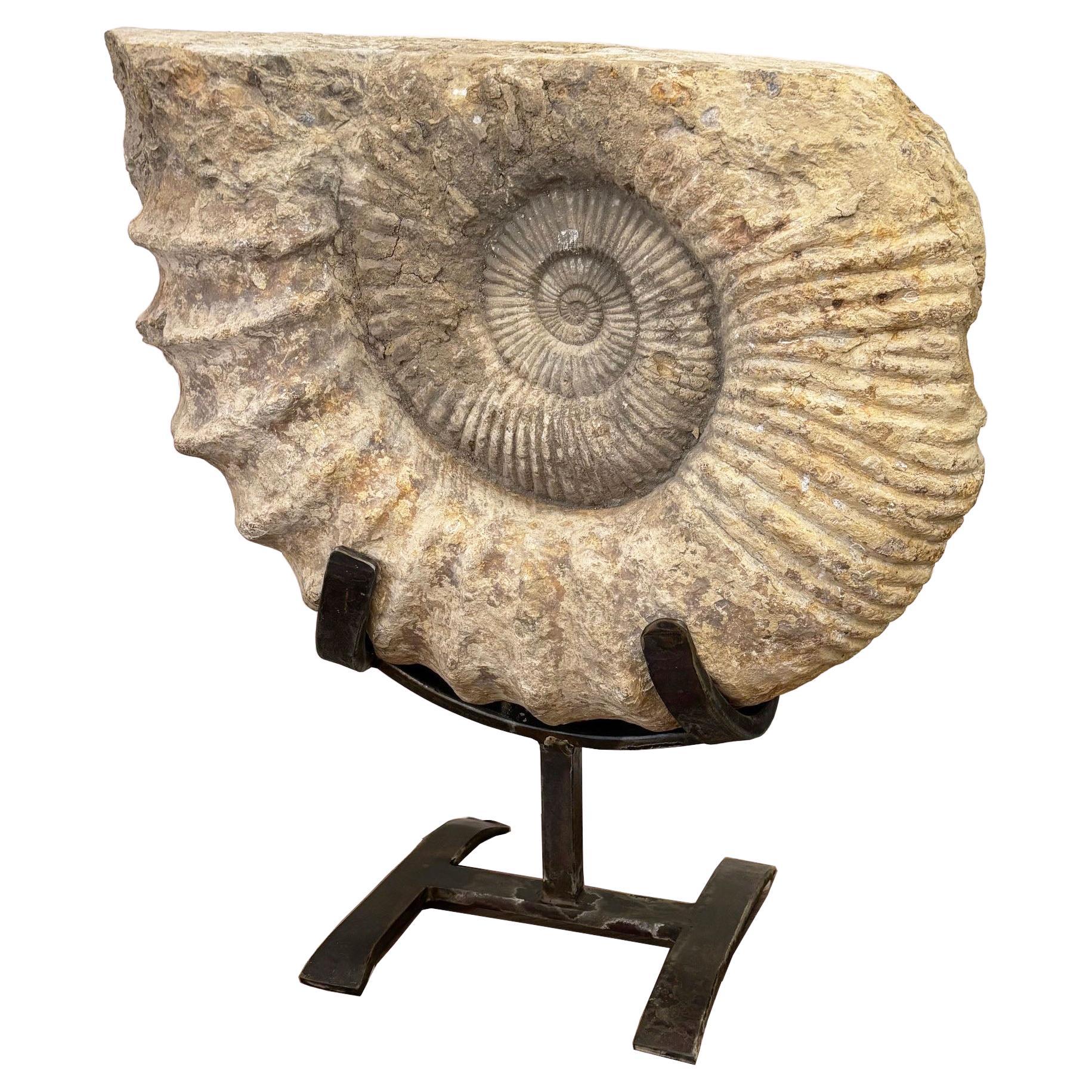 "Antiqued Ammonite Fossil sculpture on Handcrafted Iron Stand"