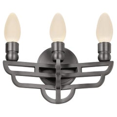 Antiqued Stainless Steel Adelphi Outdoor Wall Sconce by Elisterno