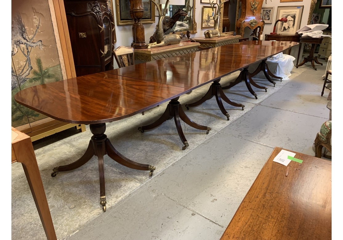 Eine außergewöhnliche und jetzt selten gesehen Antike massivem Mahagoni Regency-Stil 5 Sockel Esszimmertisch mit geriffelten Rand. Der Tisch ruht auf 5 balusterförmigen Sockeln mit vier geriffelten Beinen, Messingkappen und Rollen. Die Blätter sind