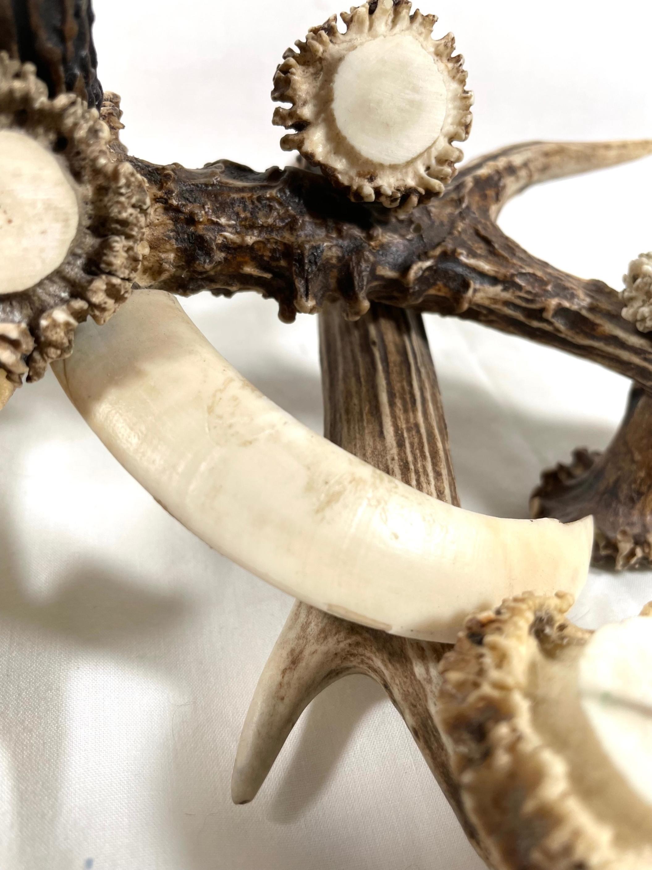 Antler and Boar Tusks Candle Holder Centerpiece In Good Condition For Sale In Vero Beach, FL