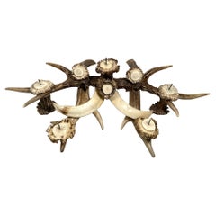 Antler and Boar Tusks Candle Holder Centerpiece