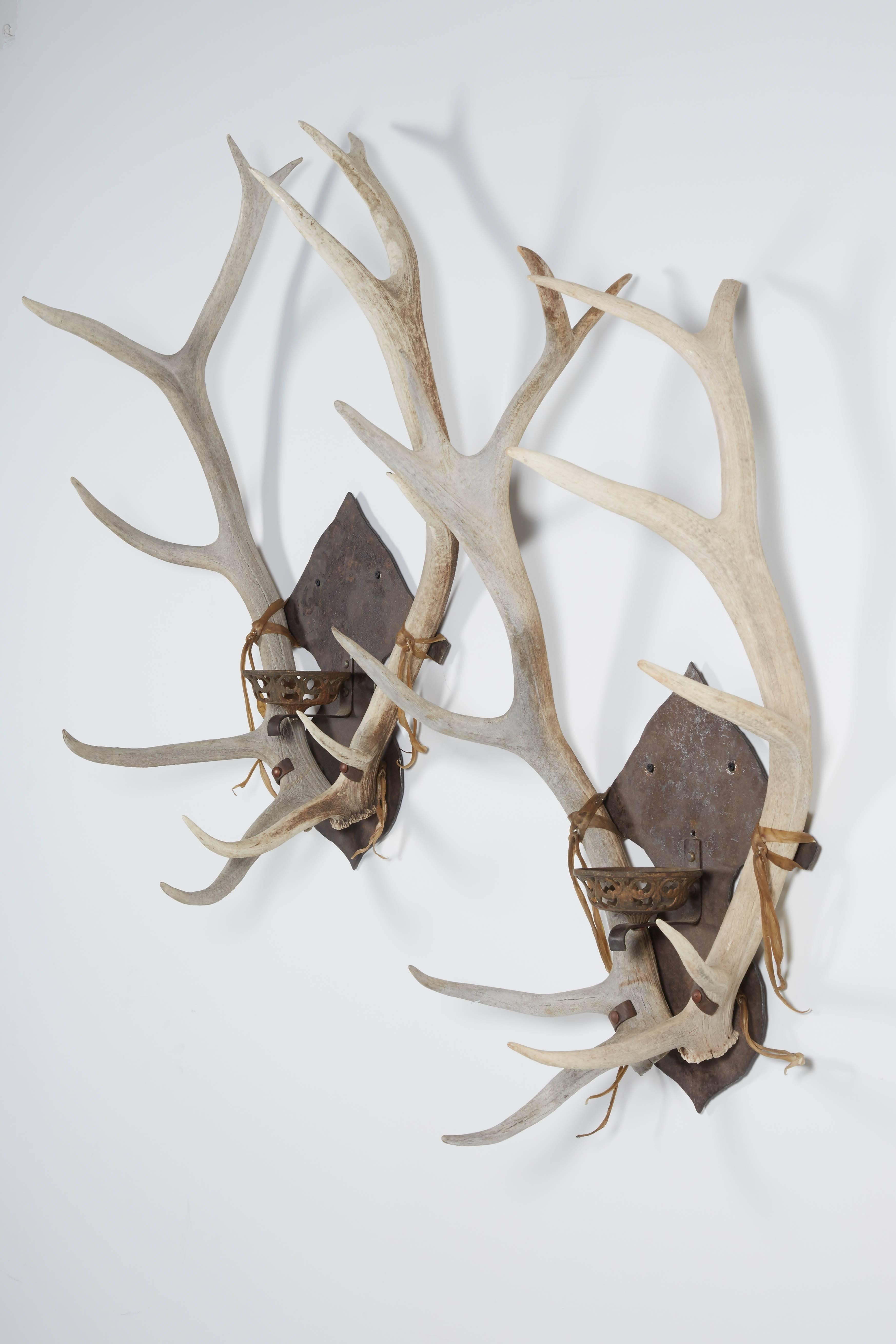Pair of antler sconces for a candle. These are tied to the frame with rawhide and mount flush to the wall. Excellent condition with minimal breakage of the antler tips.

Not available for sale or to ship in the state of California.