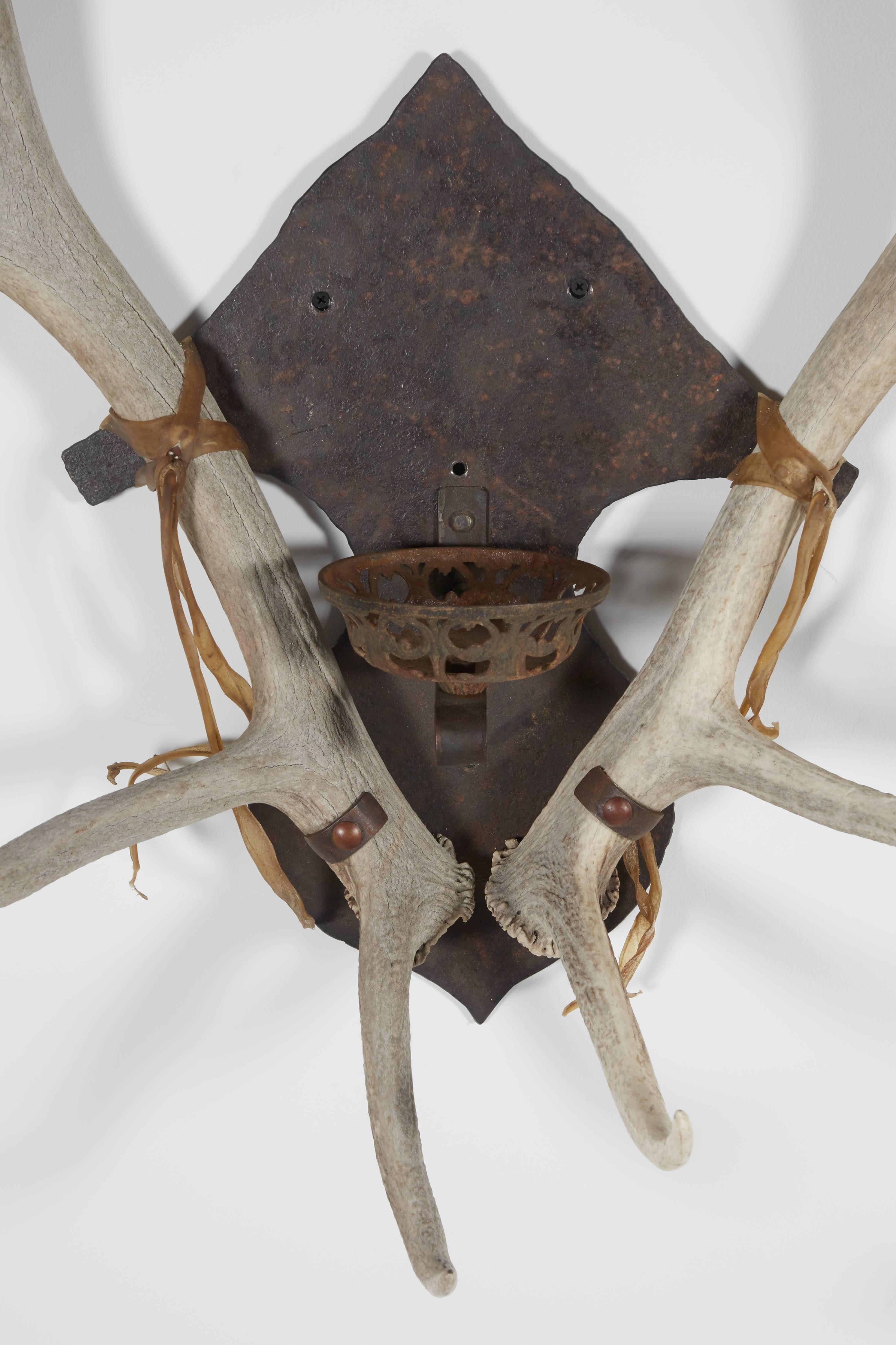 Antler and Iron Sconce Pair For Sale 3
