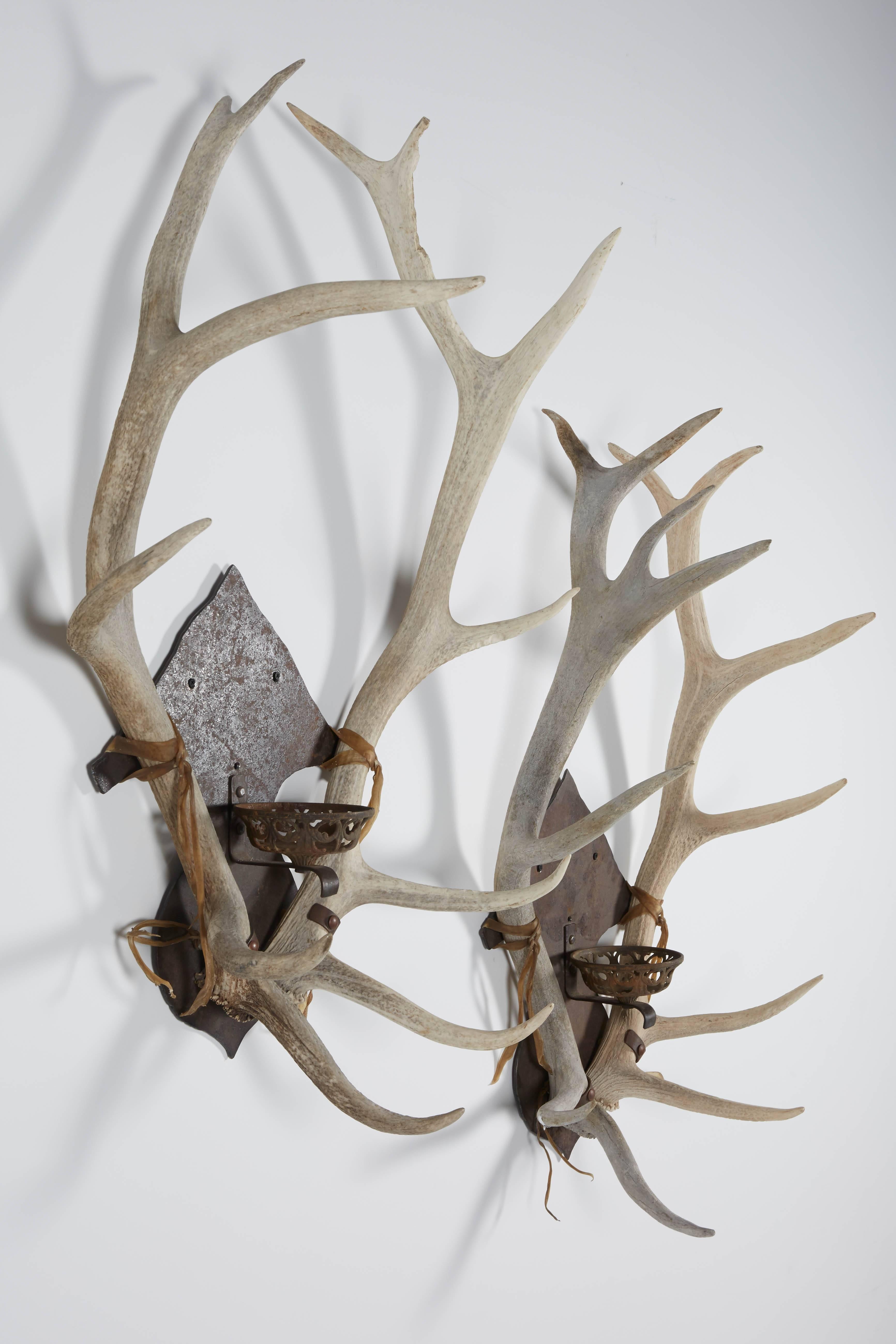 Antler and Iron Sconce Pair For Sale 4