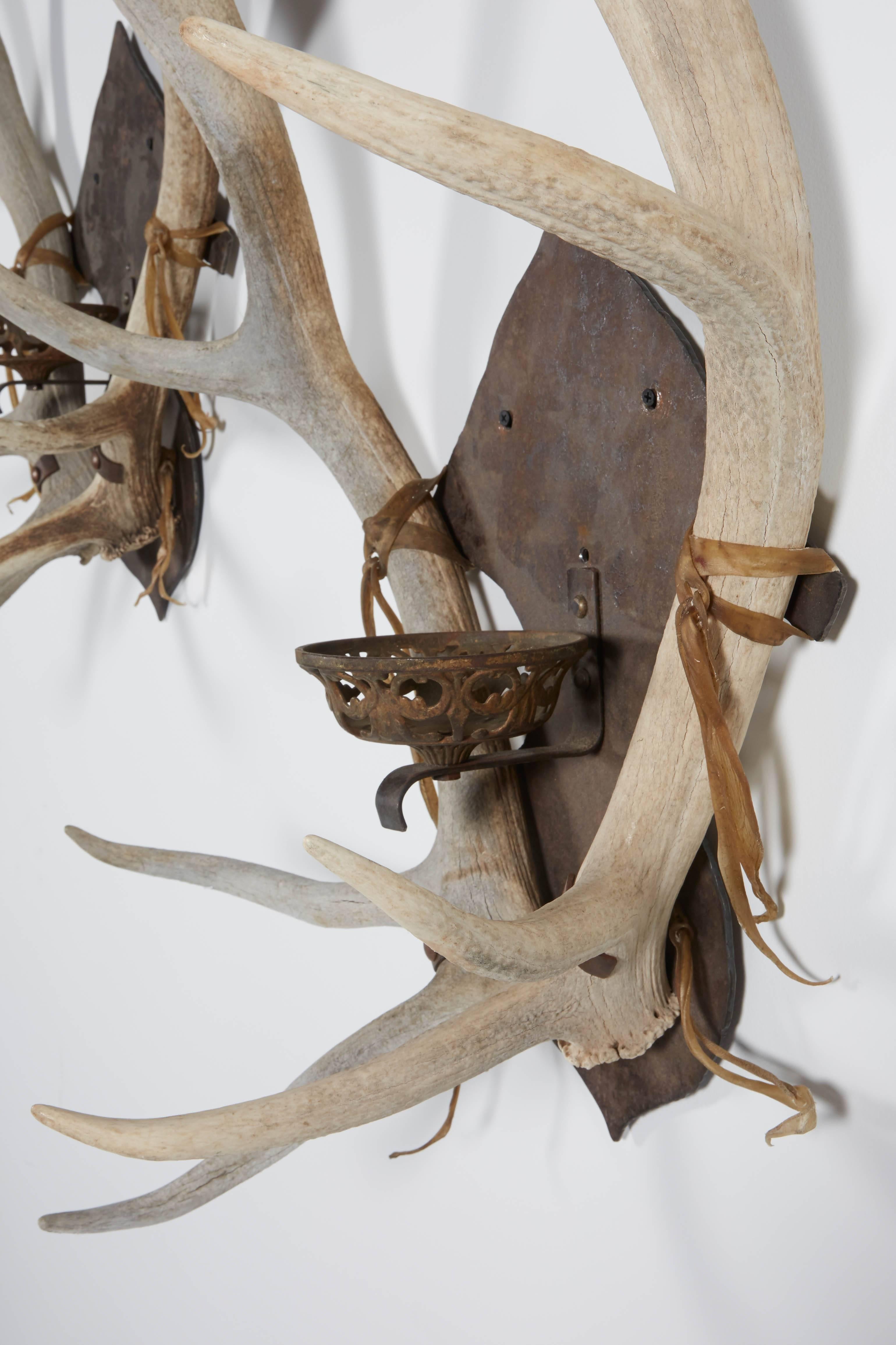 Antler and Iron Sconce Pair For Sale 5