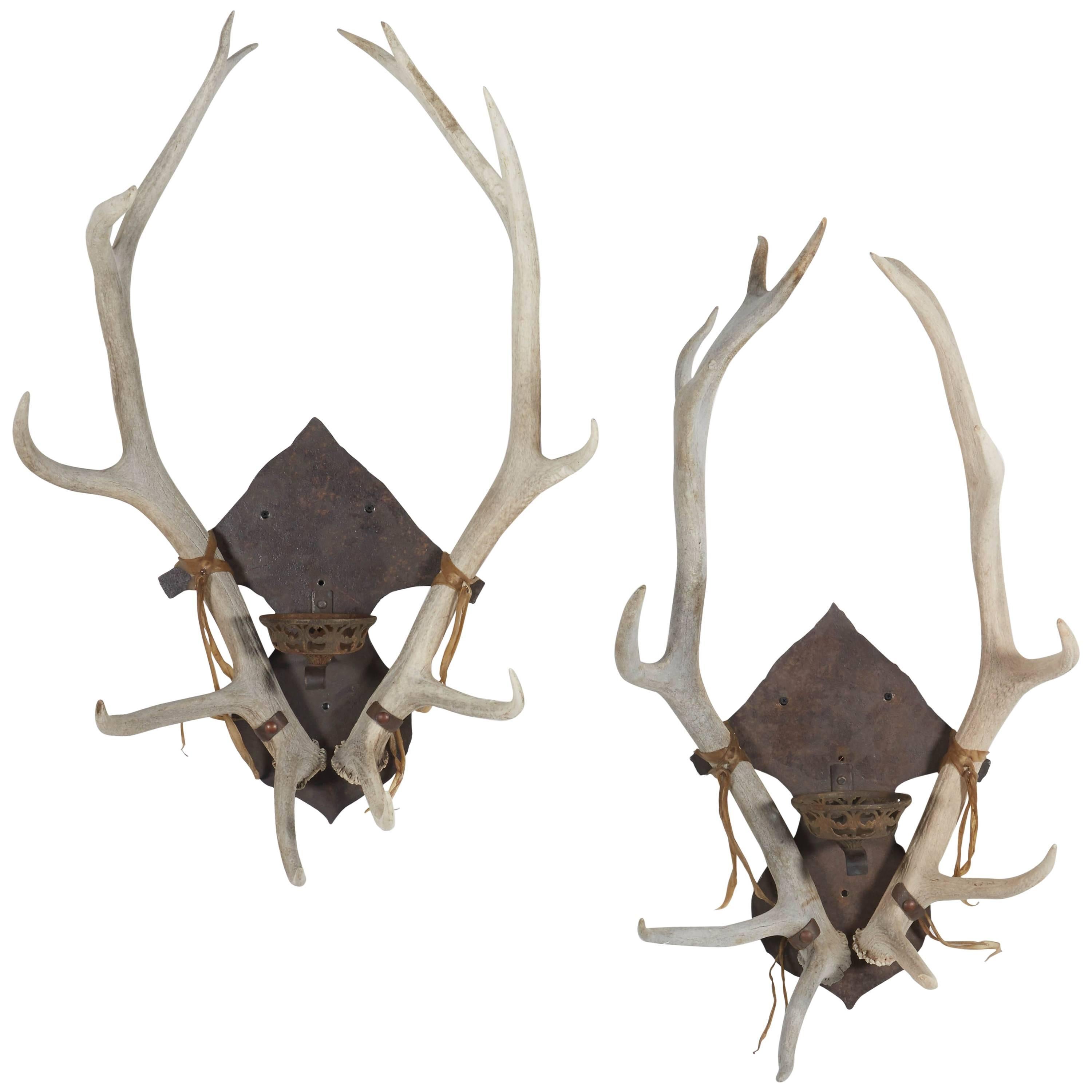 Antler and Iron Sconce Pair For Sale