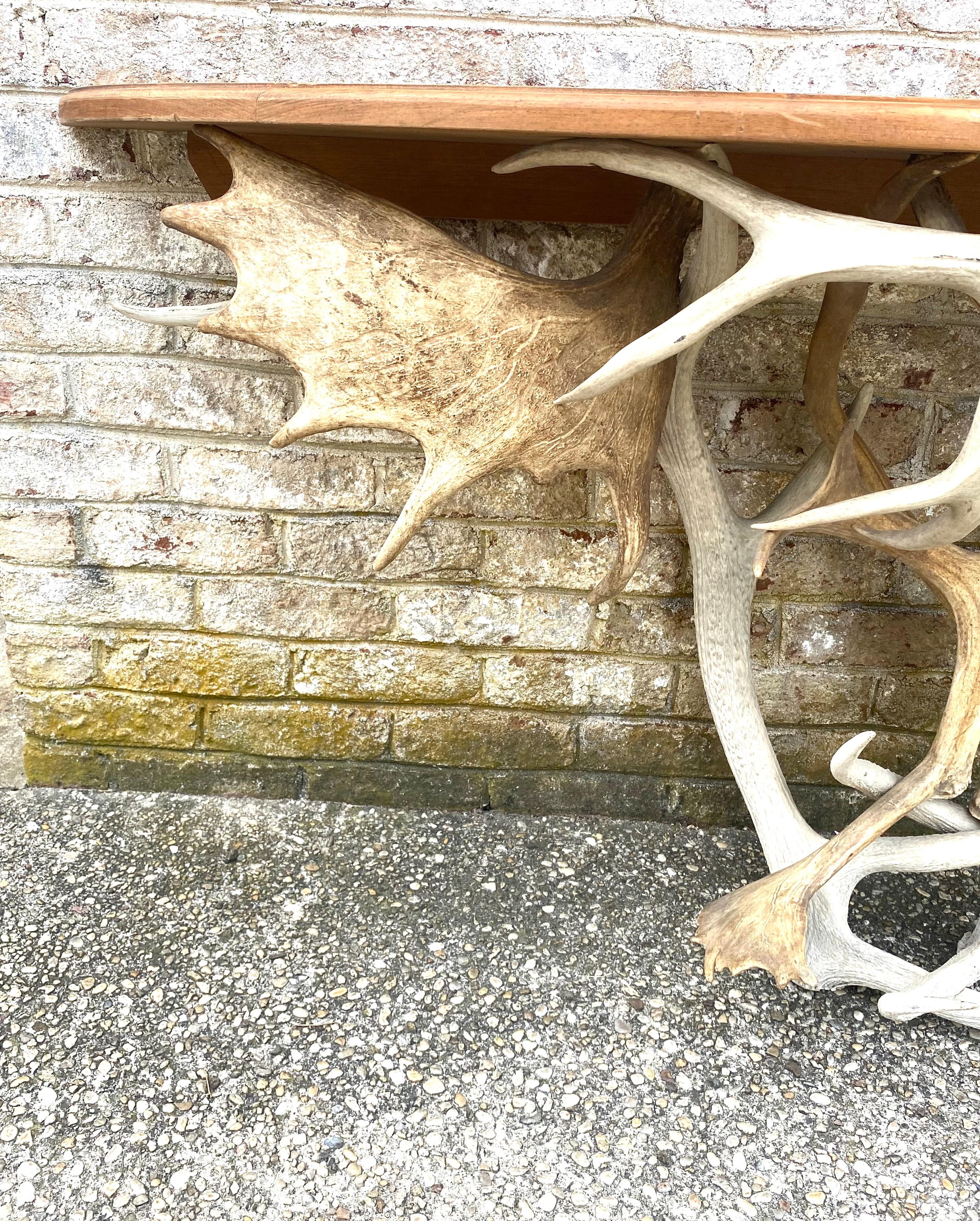 Antler Base Console Table For Sale 3