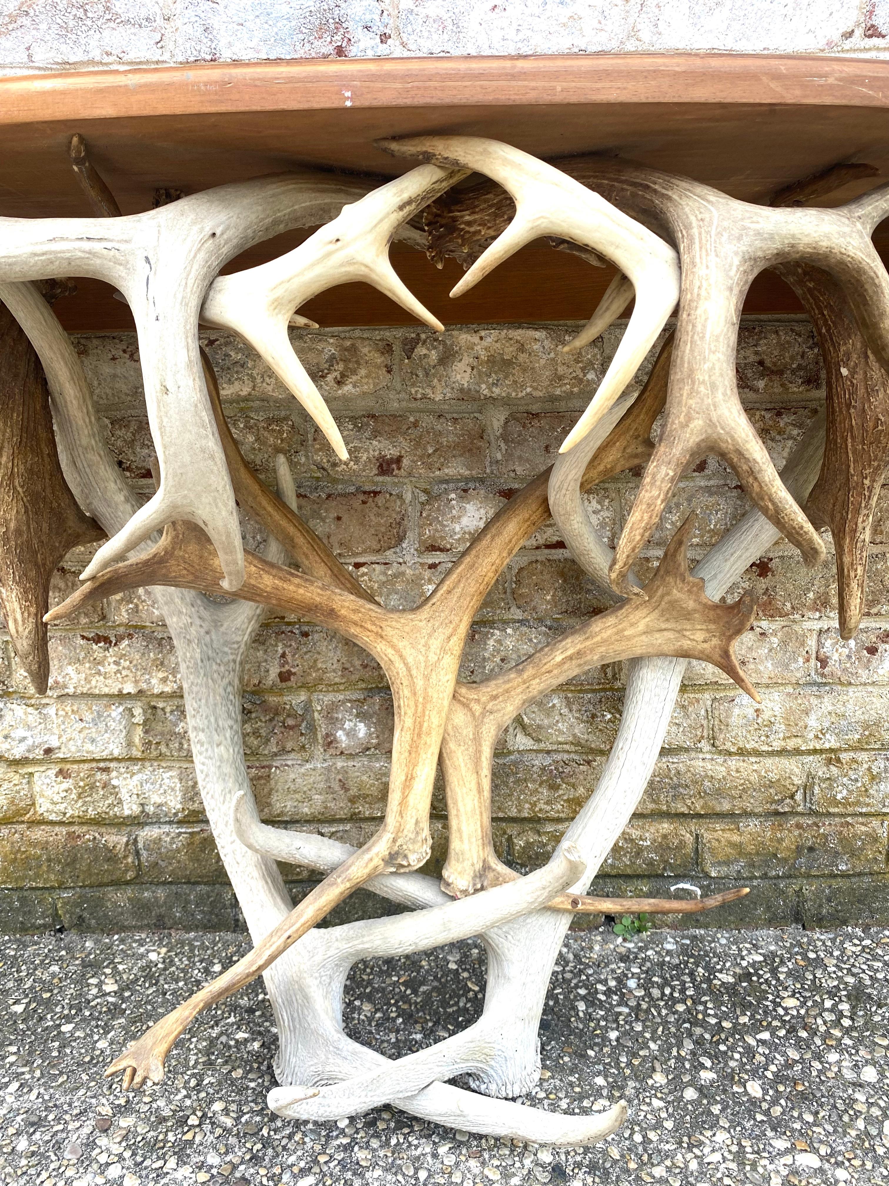 Antler Base Console Table For Sale 4