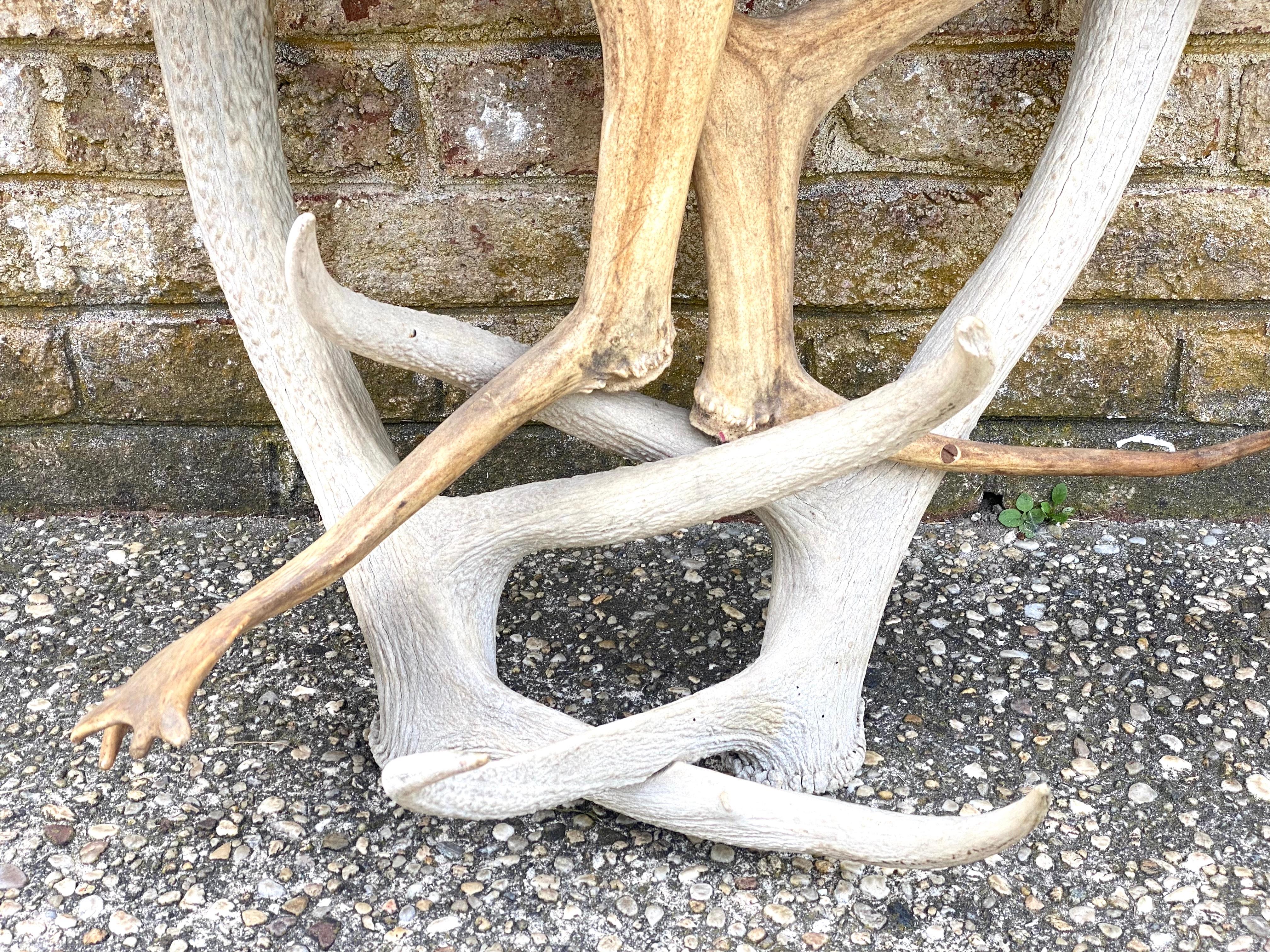 Antler Base Console Table For Sale 5