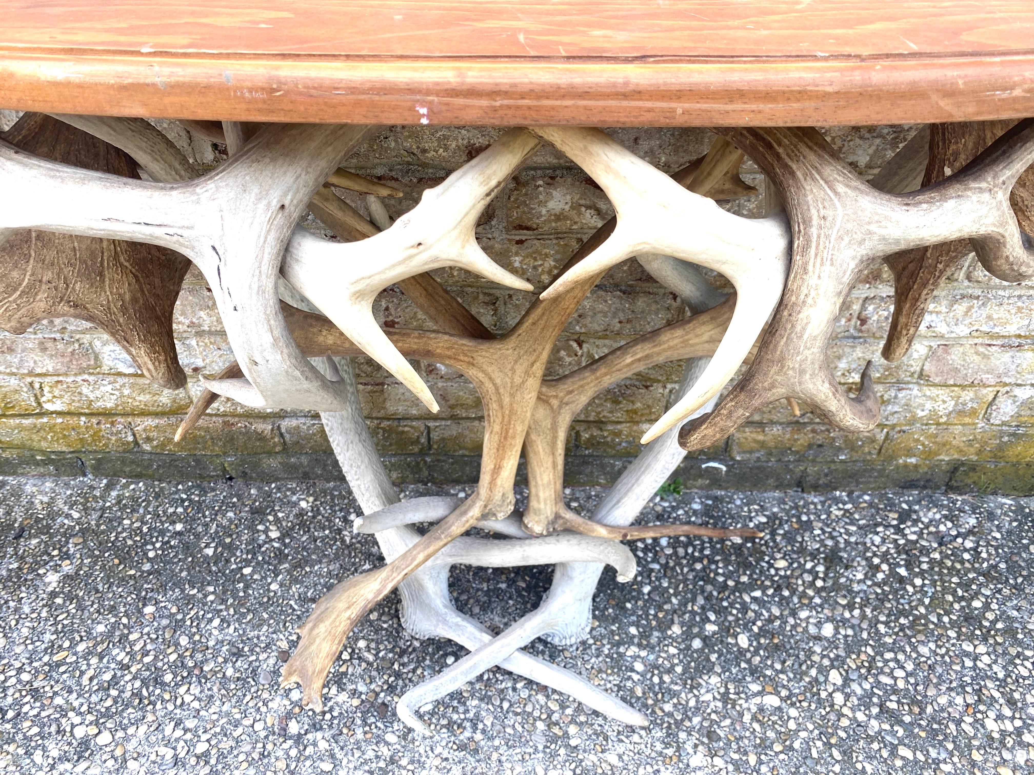Antler Base Console Table For Sale 10