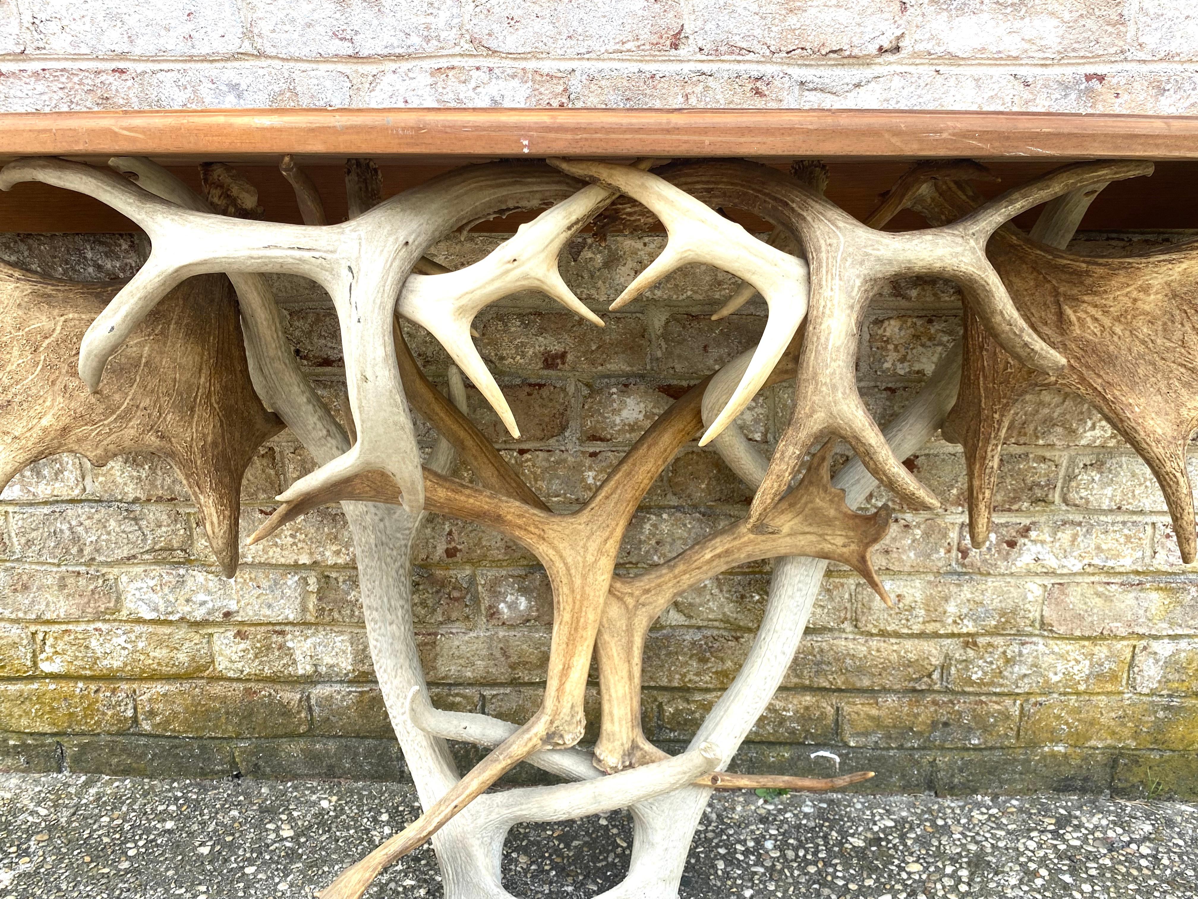 Antler Base Console Table For Sale 1