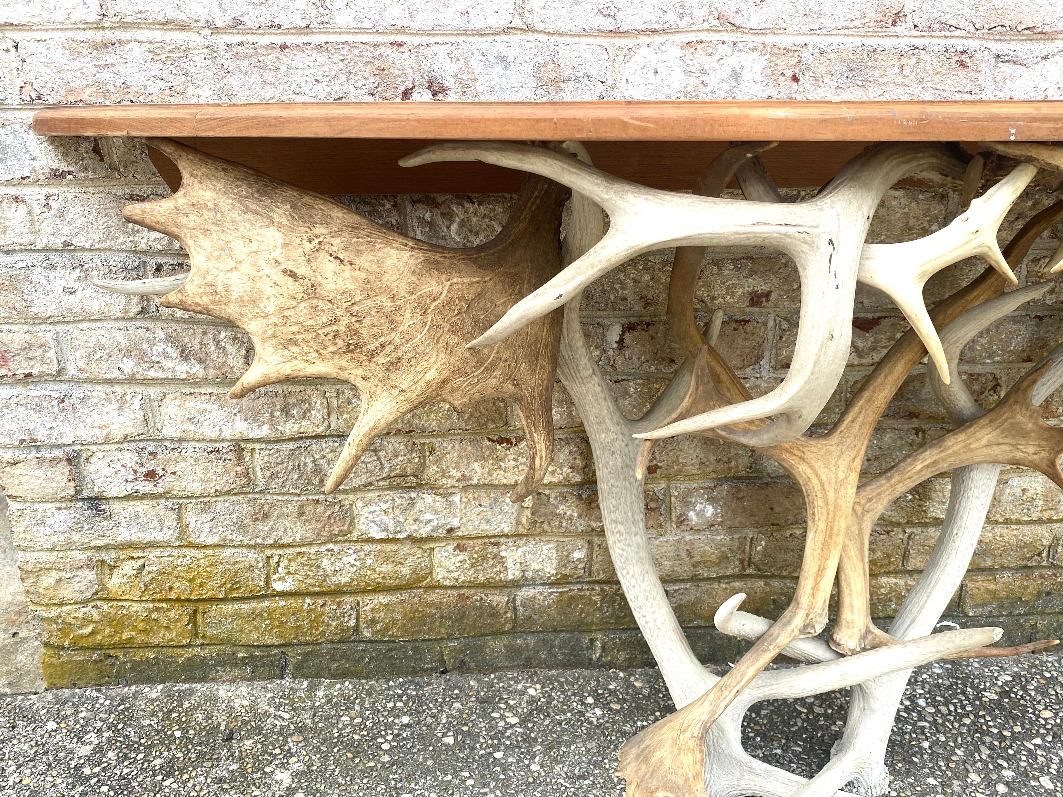Antler Base Console Table For Sale 2