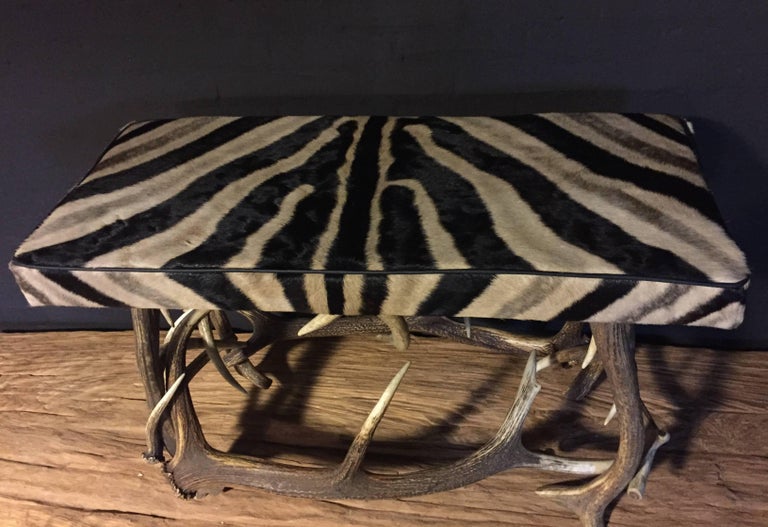 Antler Bench with Burchell Zebra Skin at 1stDibs