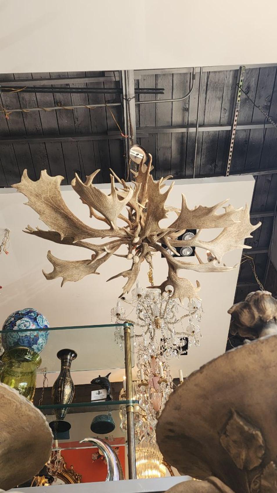 Araña de estilo americano Antler Cabin siglo XX en venta