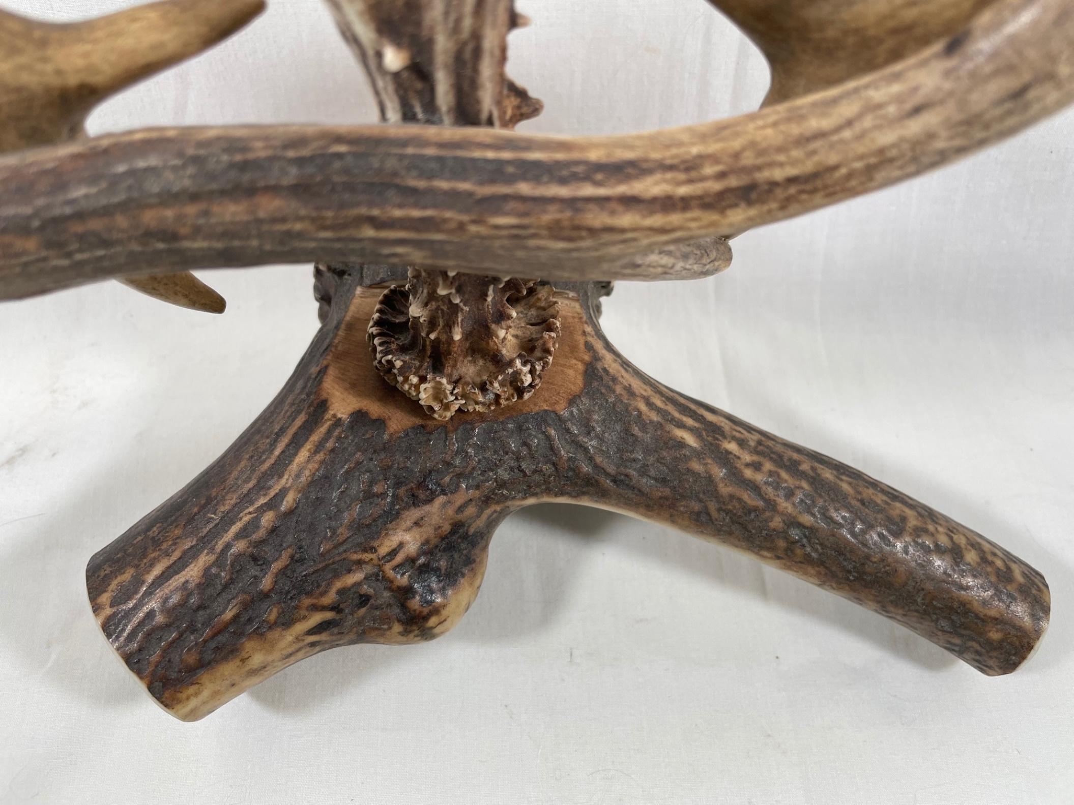Hand-Crafted Antler Candelabra, 3-Armed with Wood Carved Enzian Flower Medallion For Sale