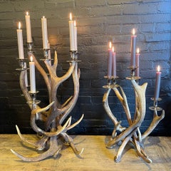 Antler candleholder with 8 candles