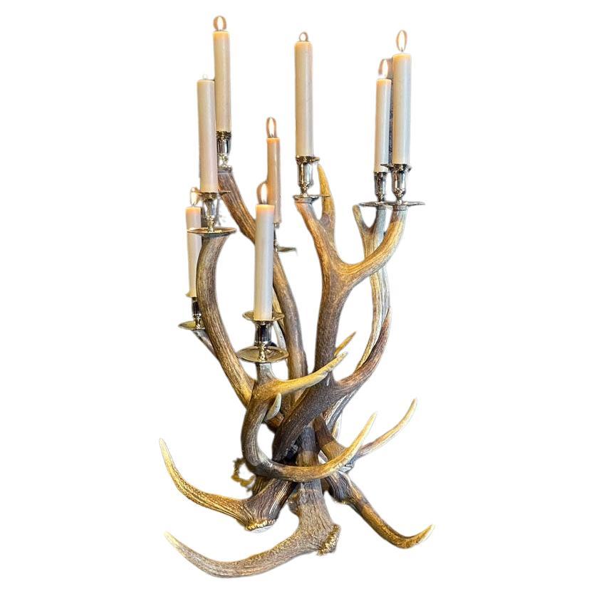 Antler candleholder with 8 candles