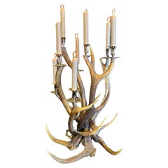 Chandelier en bois de cervidé avec 8 bougies