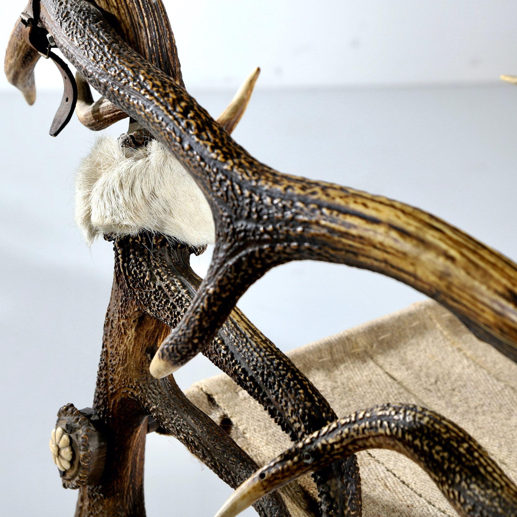 Antler Chair For Sale 6