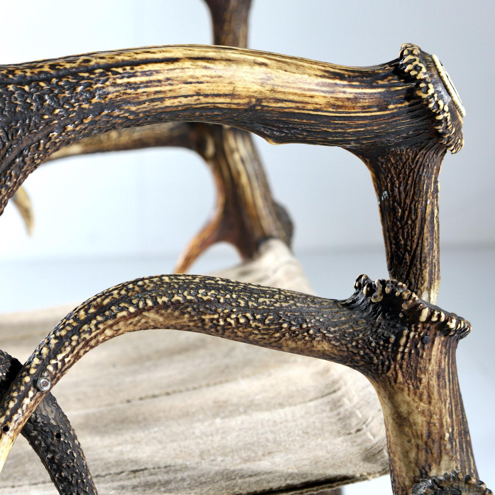 Antler Chair For Sale 7
