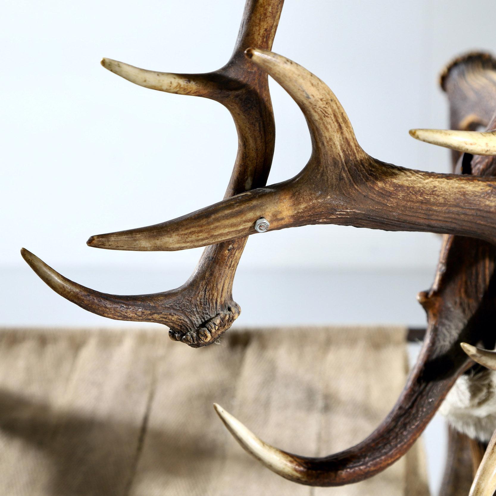 Antler Chair For Sale 11