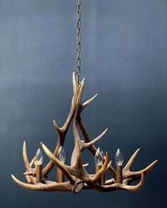 Lampadario in corno