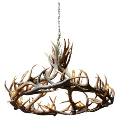 Lampadario in corno