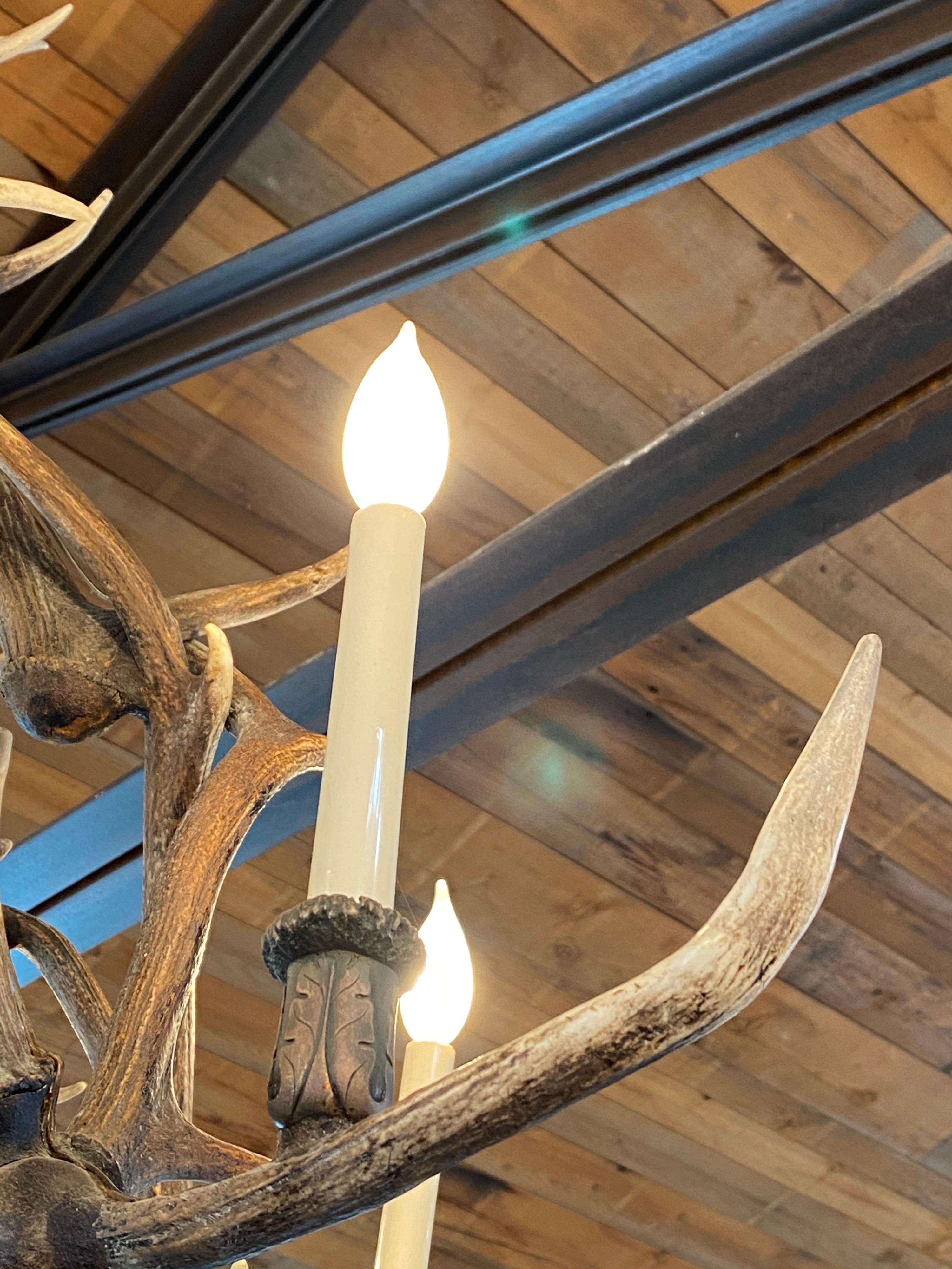 Unknown Antler Chandelier with 6 Lights