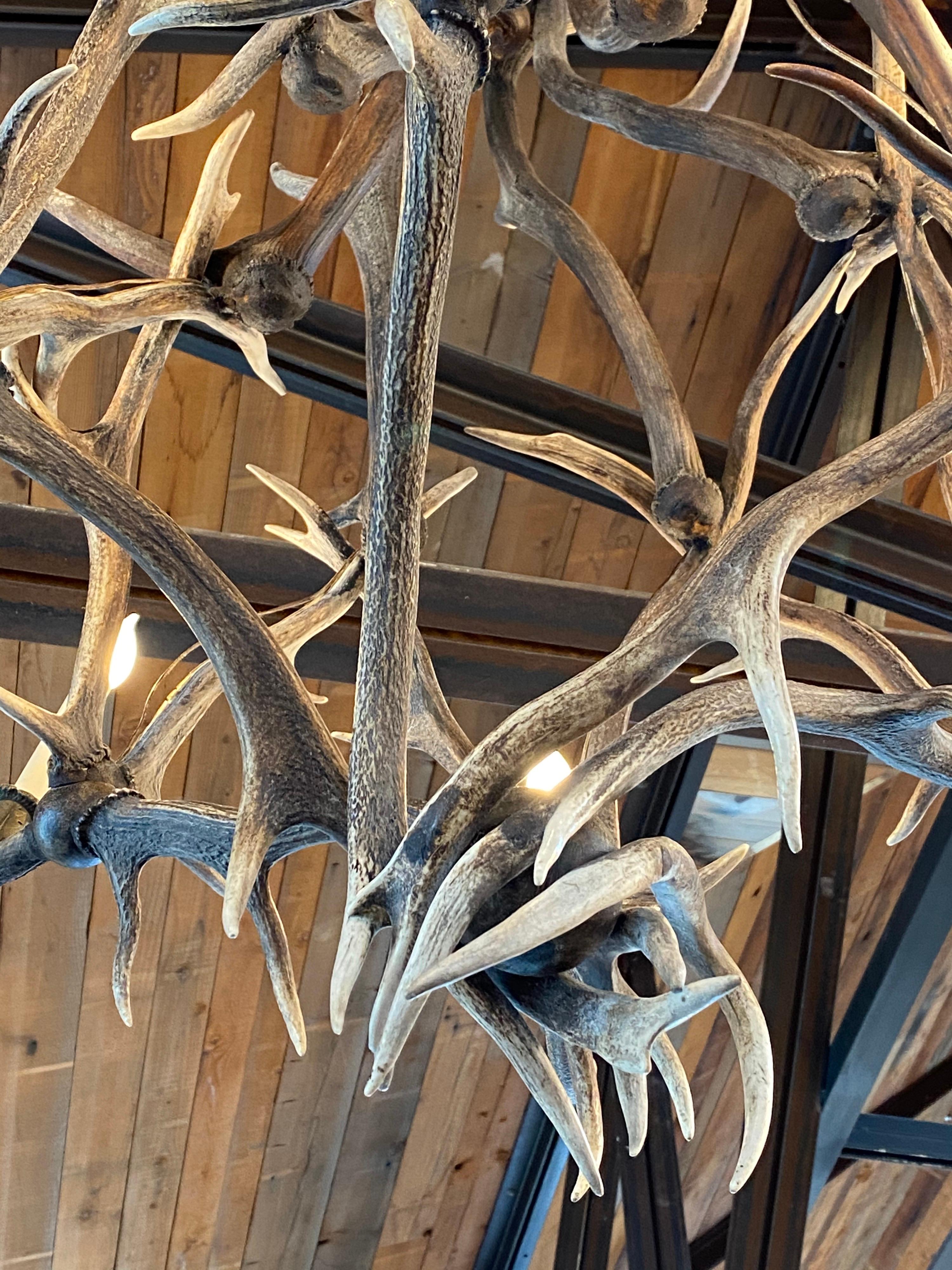 Antler Chandelier with 6 Lights In Good Condition In Bridgehampton, NY