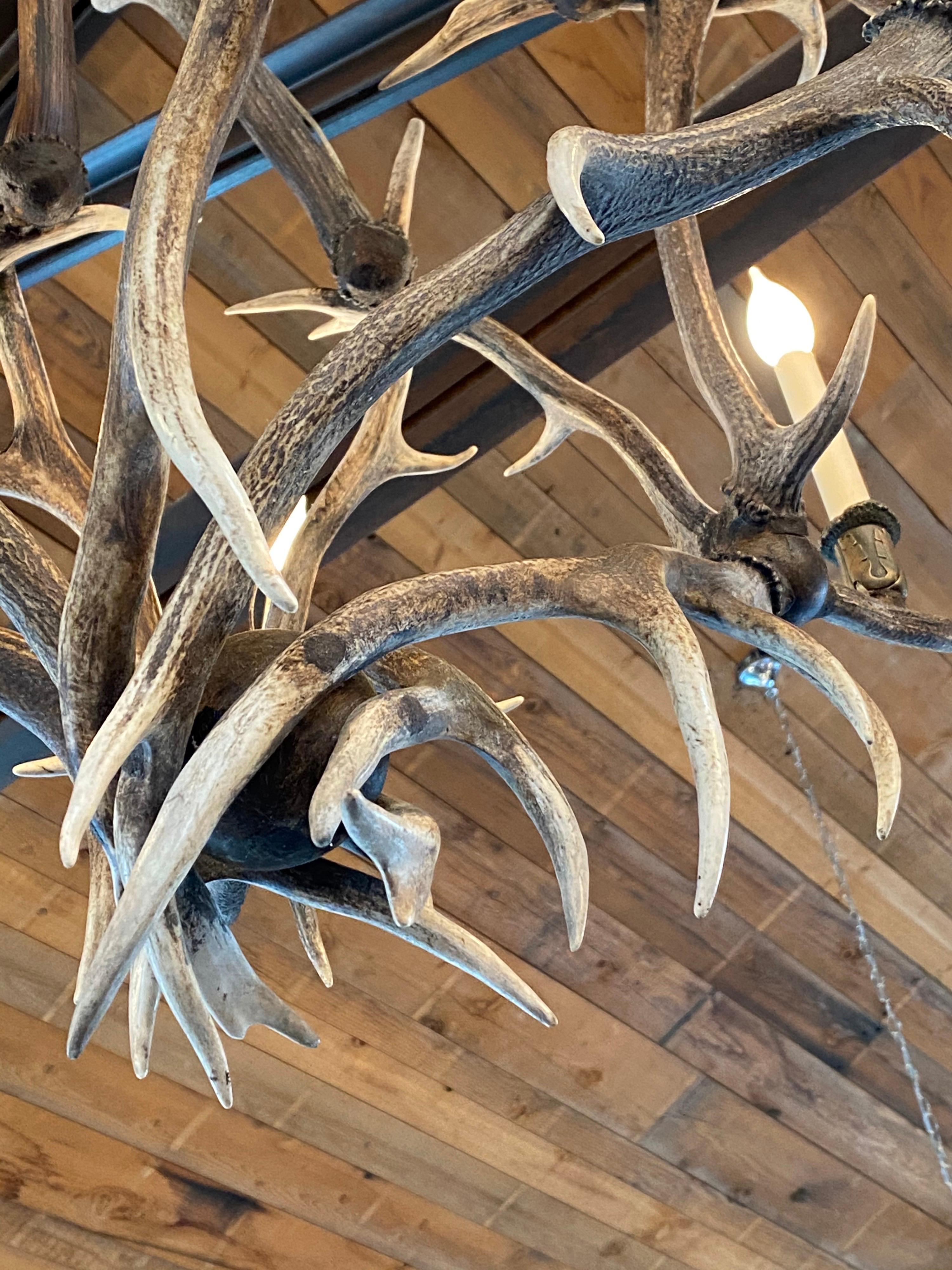 Contemporary Antler Chandelier with 6 Lights