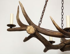 Antler Chandelier with Eight Candle Lights