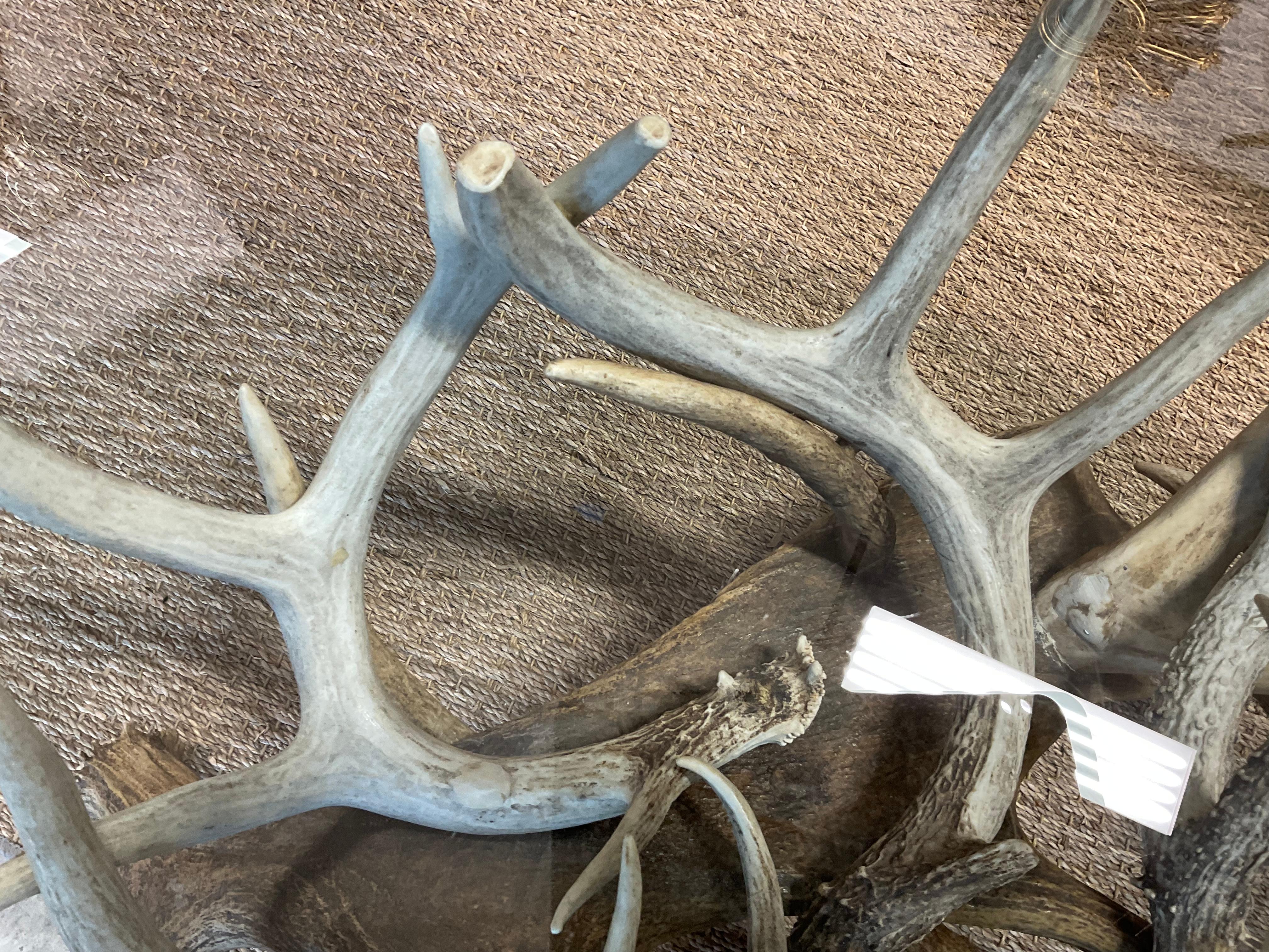 Antler Coffee Table W/ Glass Top 1
