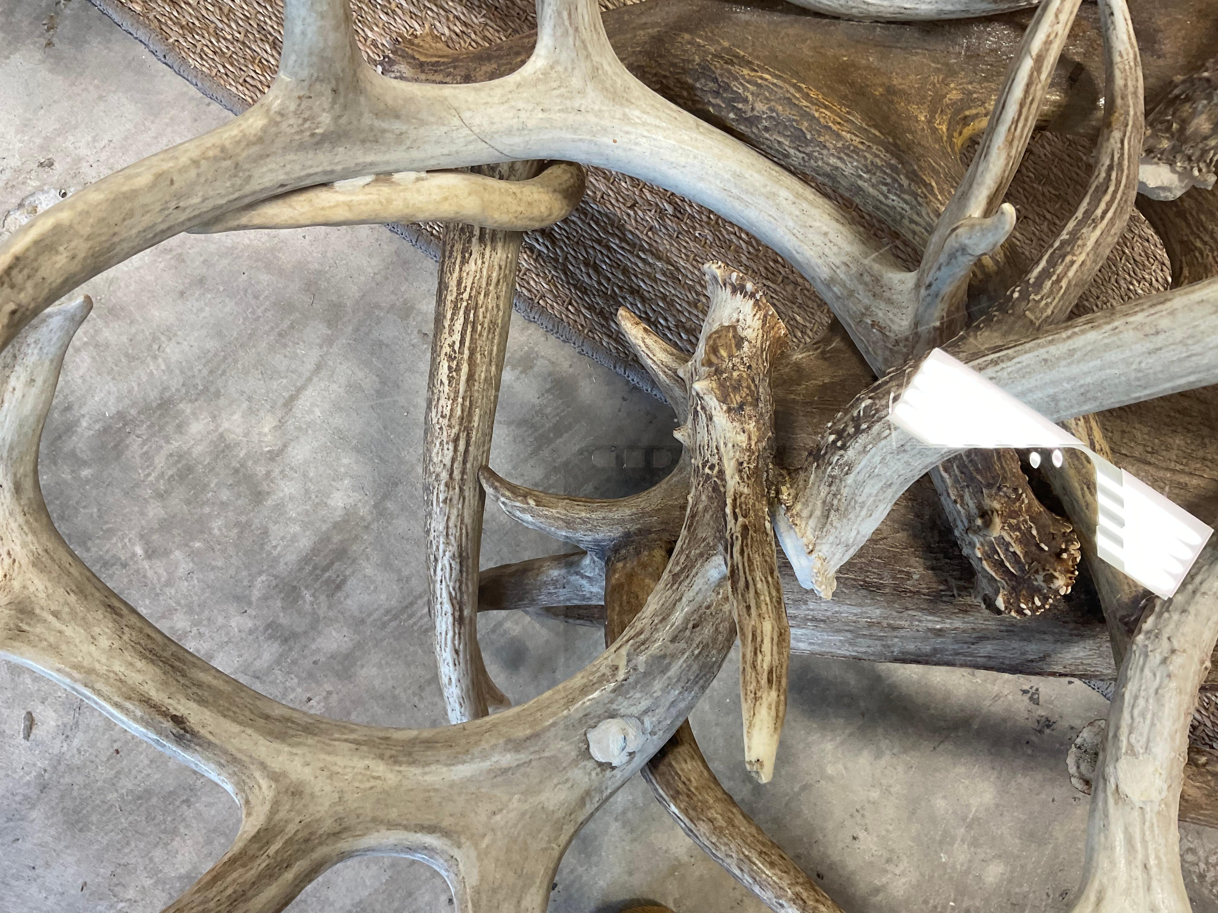 Antler Coffee Table W/ Glass Top 2