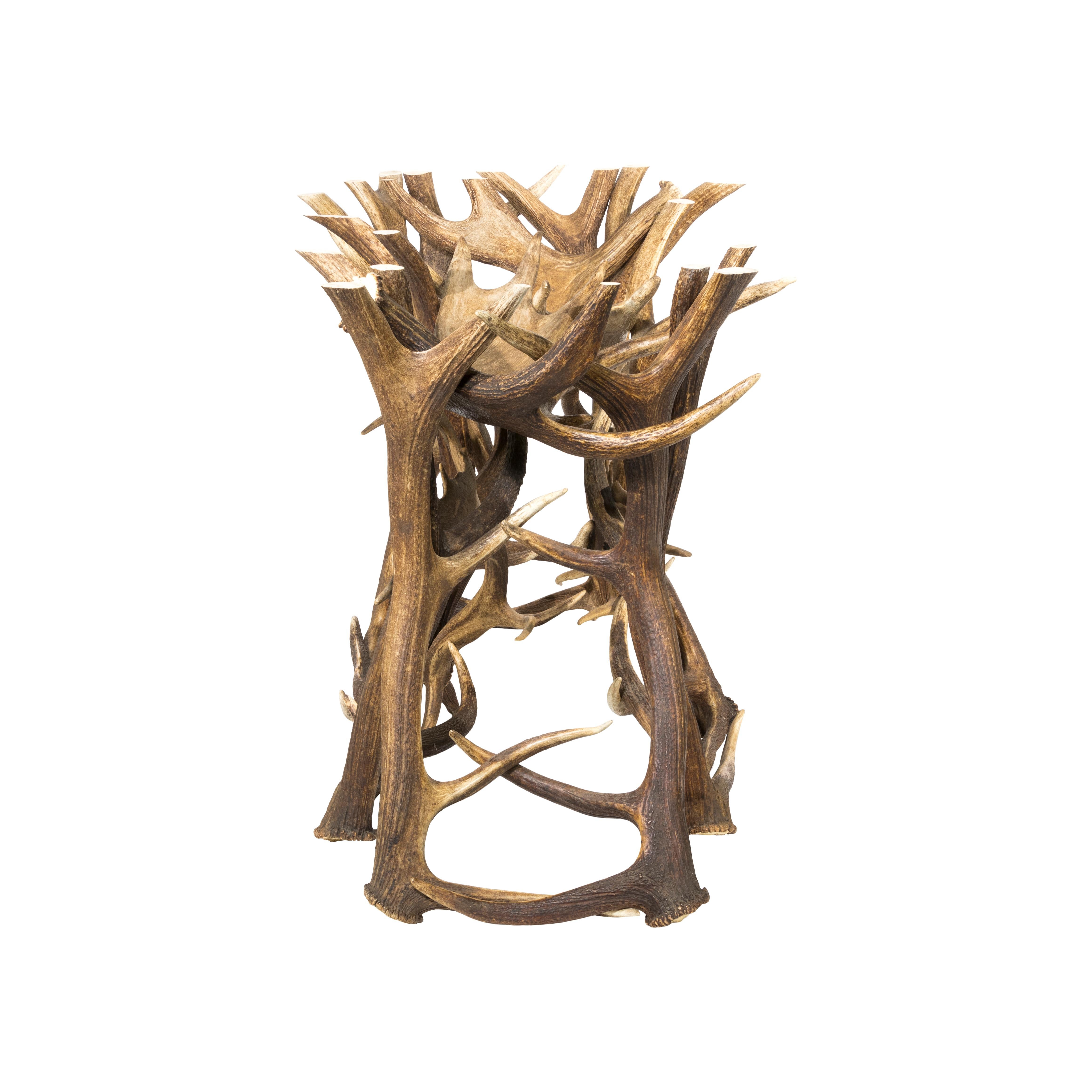 Antler dining table with base of elk, moose and fallow deer. Base 24