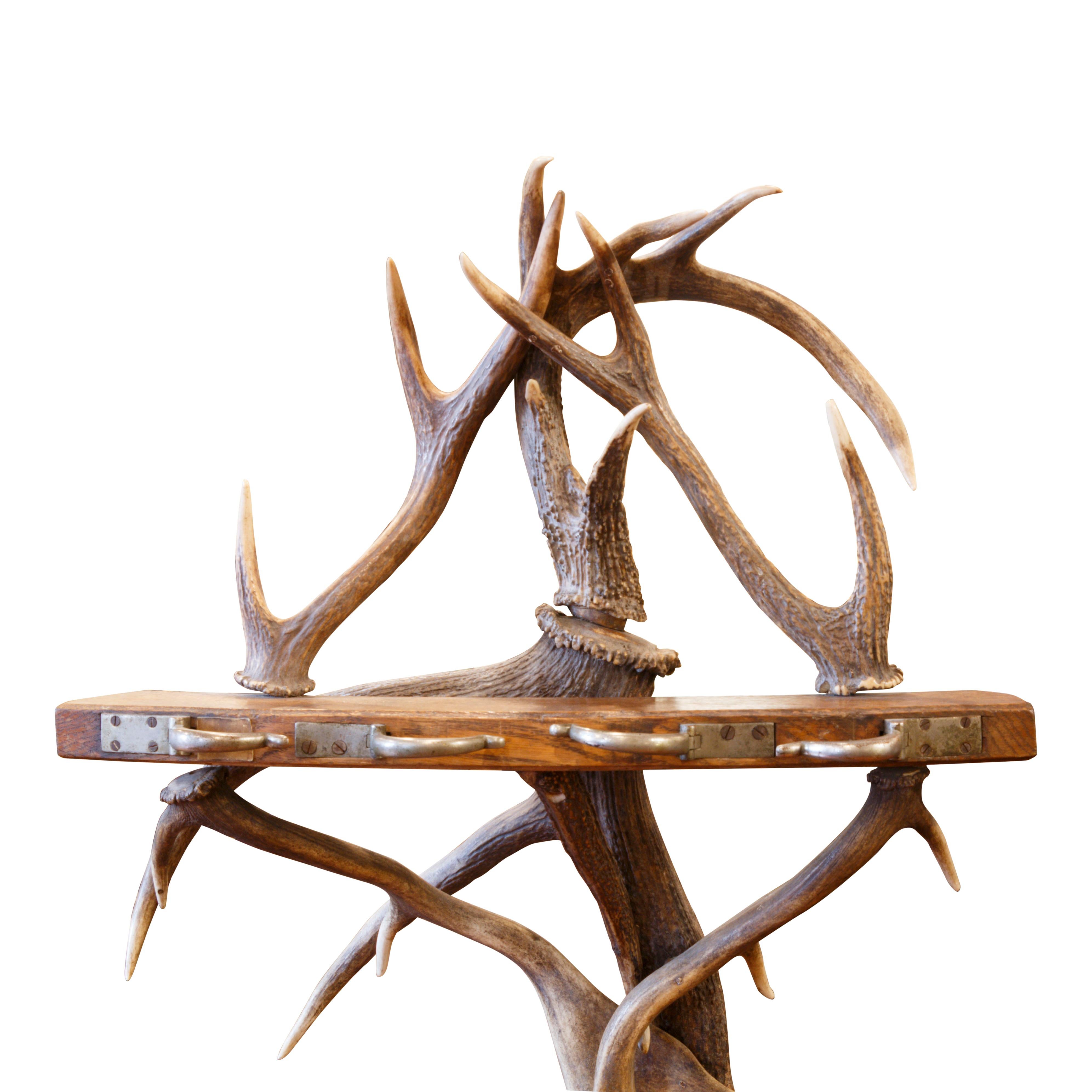 Antler mounted gun rack; ca. 1900; floor standing. Entwined antler columns supporting an oak butt rest and barrel clamps for four rifles or shotguns; 53