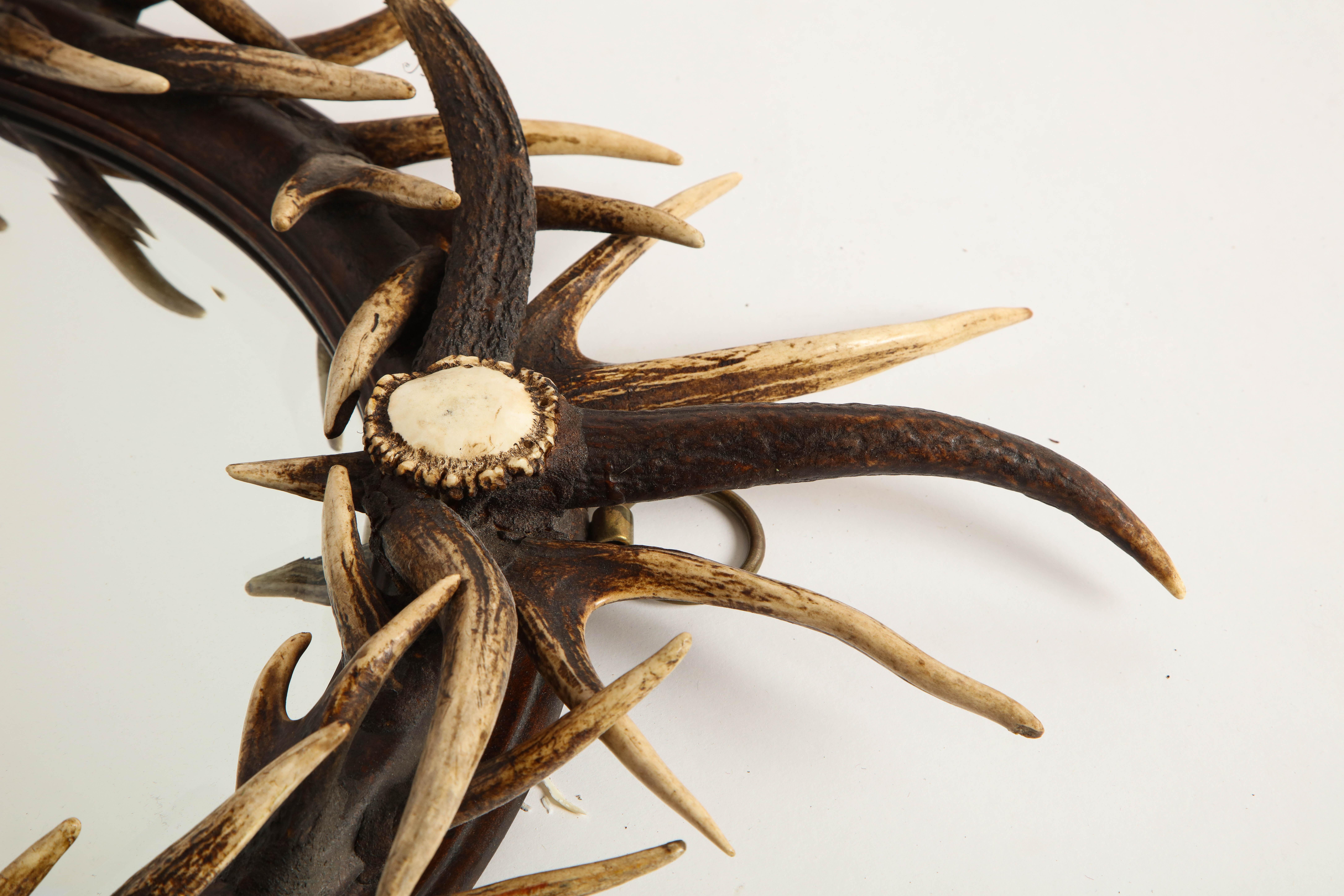 Antler-Mounted Mirror, 20th Century 7