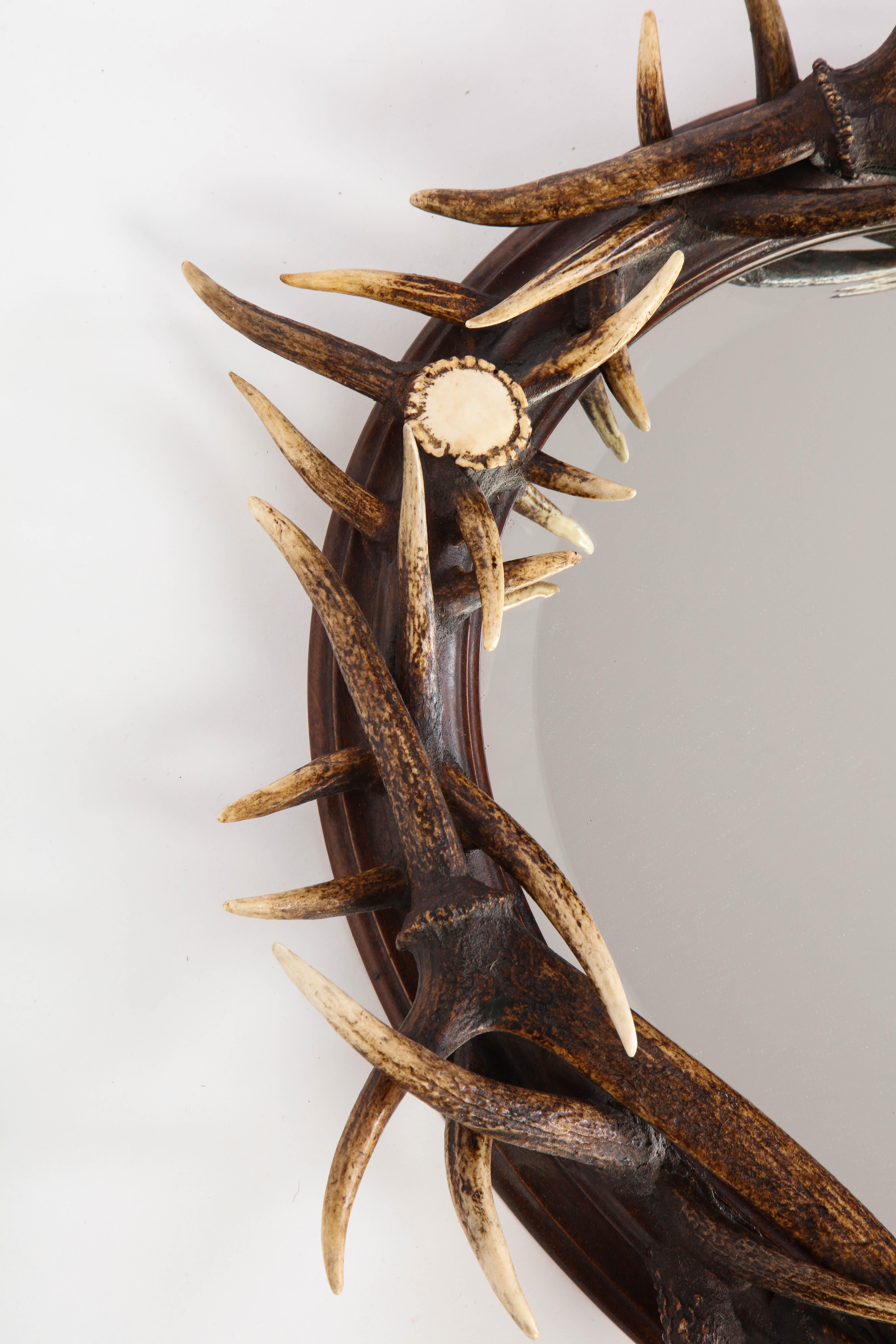 Antler-Mounted Mirror, 20th Century 4