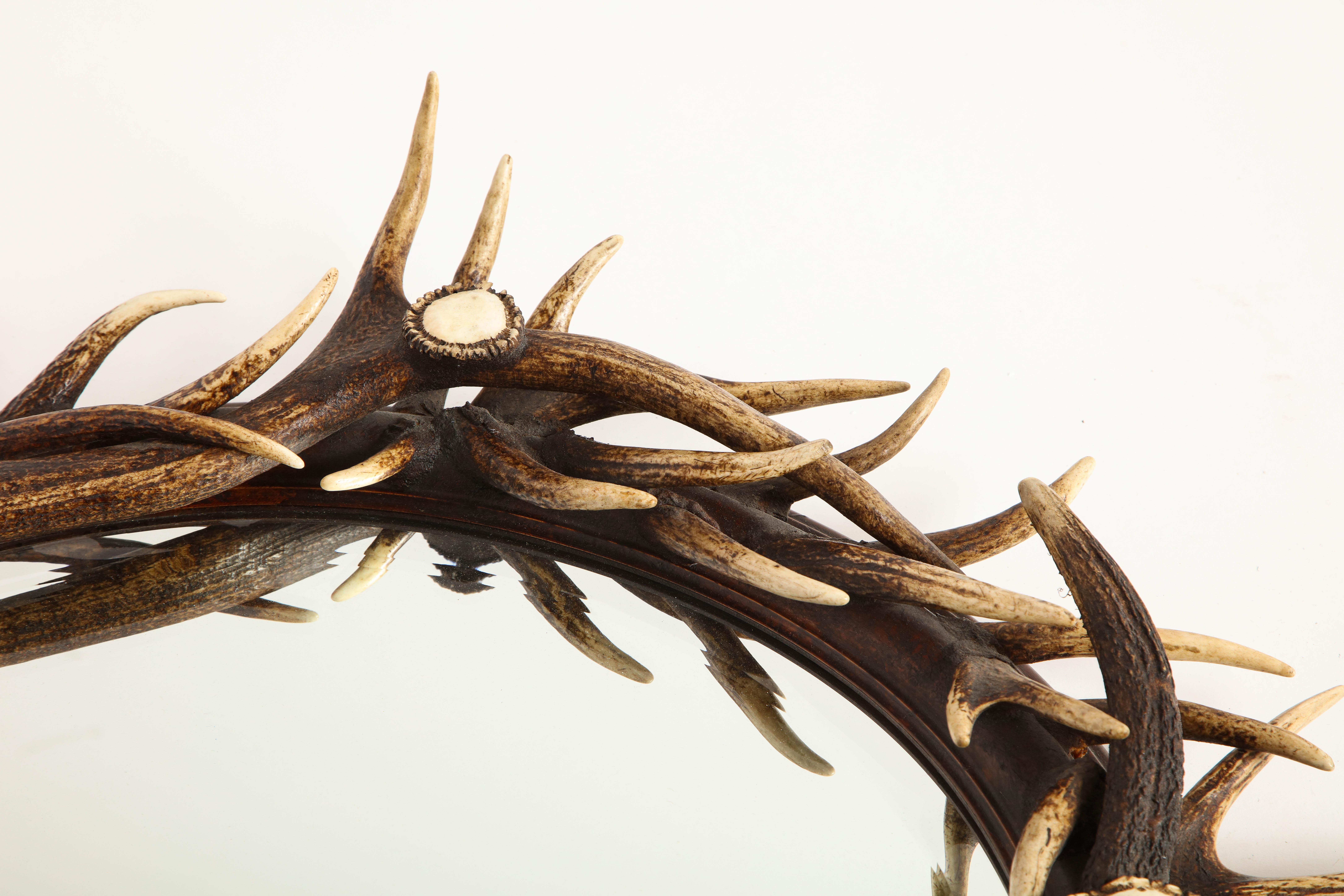 Antler-Mounted Mirror, 20th Century 6