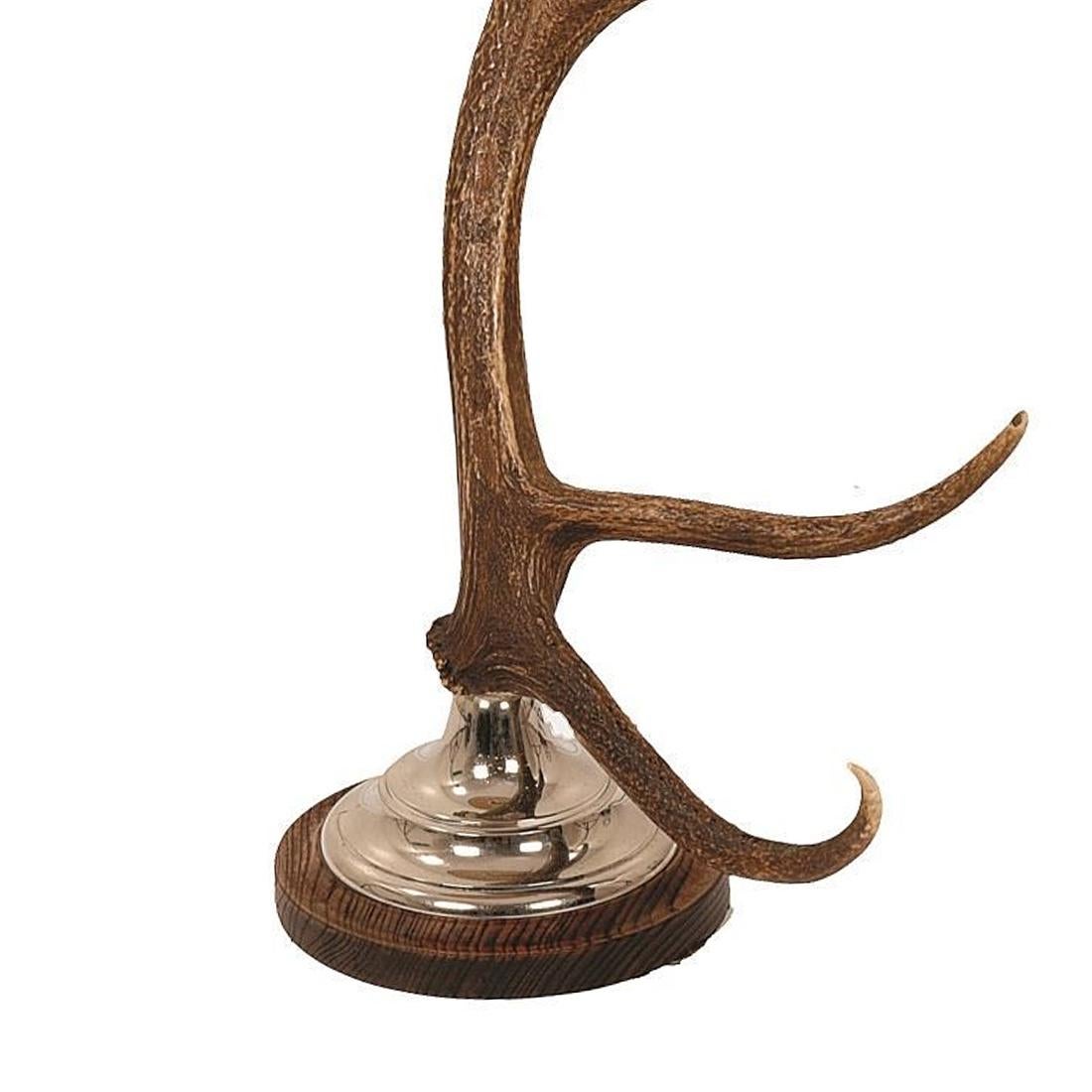 British Antler Two Table Lamp For Sale