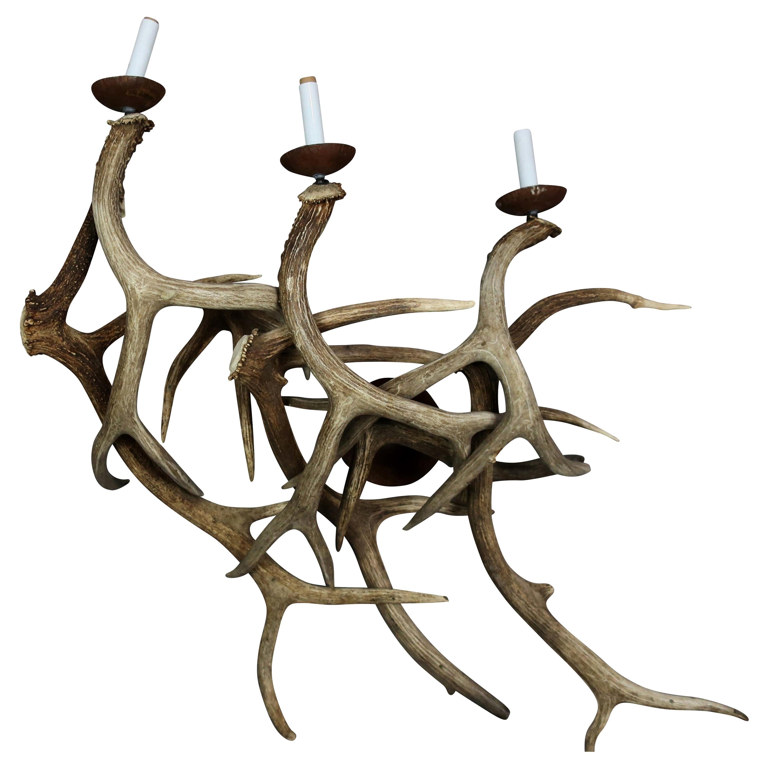 Antler Wall Sconces, Pair of Three-Light