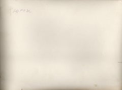 Vita di paese, circa 1880. Foto con numero originale. 16,8x22,6 cm.
