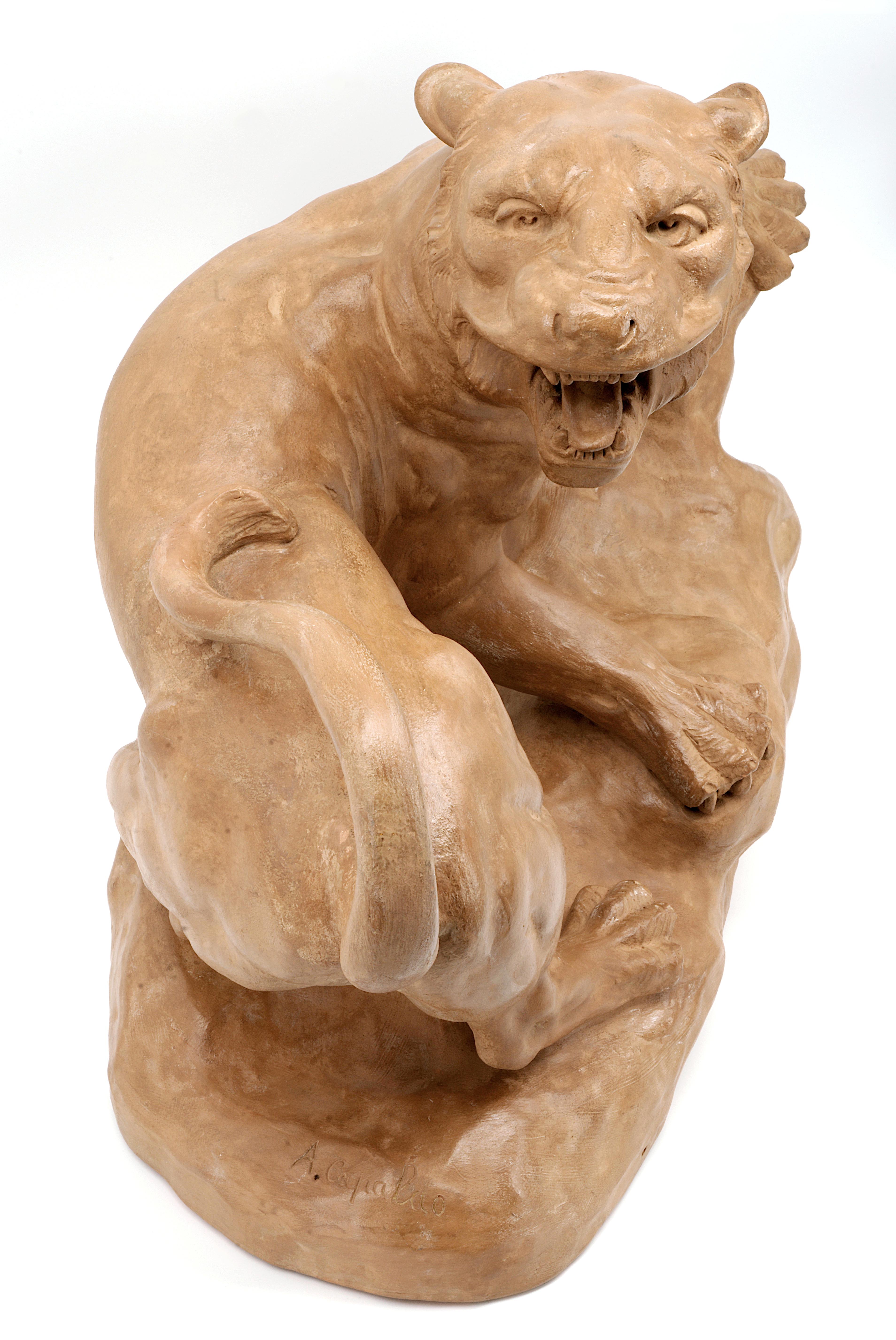 Antoine Capaldo, leonessa in terracotta Art Deco francese del 1910 In condizioni ottime in vendita a Saint-Amans-des-Cots, FR