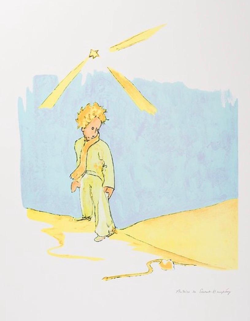 Color lithograph after the watercolor illustrations by Antoine de Saint-Exupéry from his beloved masterpiece "The Little Prince".
 
This lithograph was printed and published in 2009 in Paris using 100% cotton 300 g/m² BFK Rives paper. Artwork