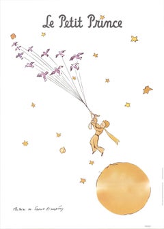 The Little Prince and The Wild Birds