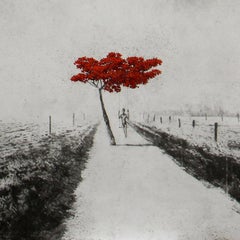 Pousse-Moi - Spingimi