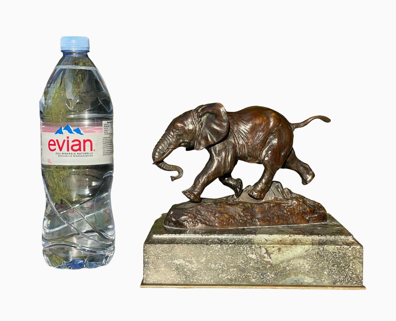 Antoine-Louis BARYE - Bronze, Elephant of Senegal For Sale 6