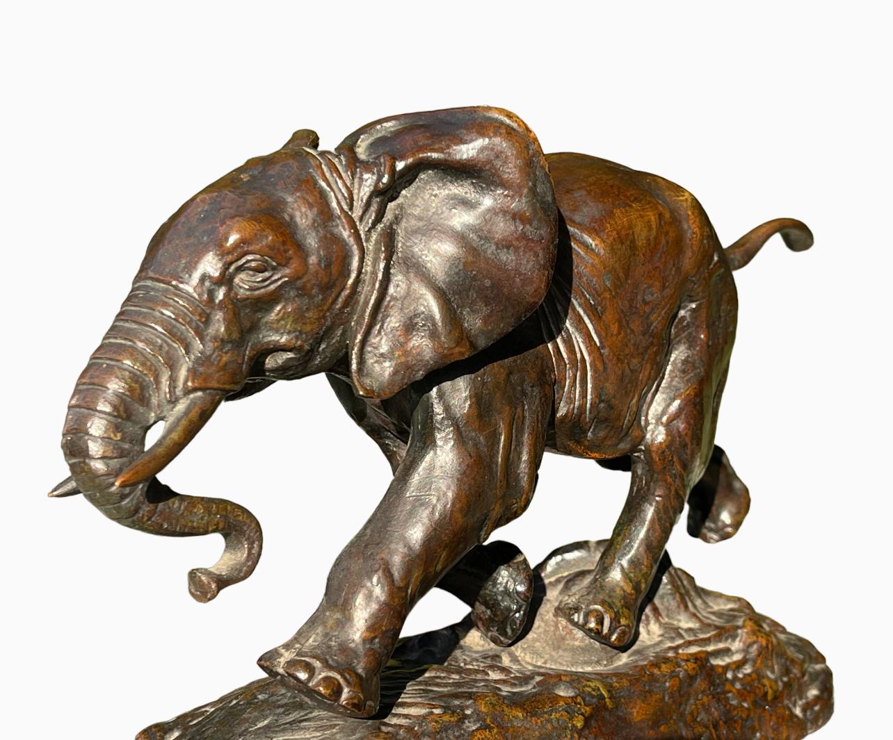 Antoine-Louis BARYE - Bronze, Elephant of Senegal For Sale 7