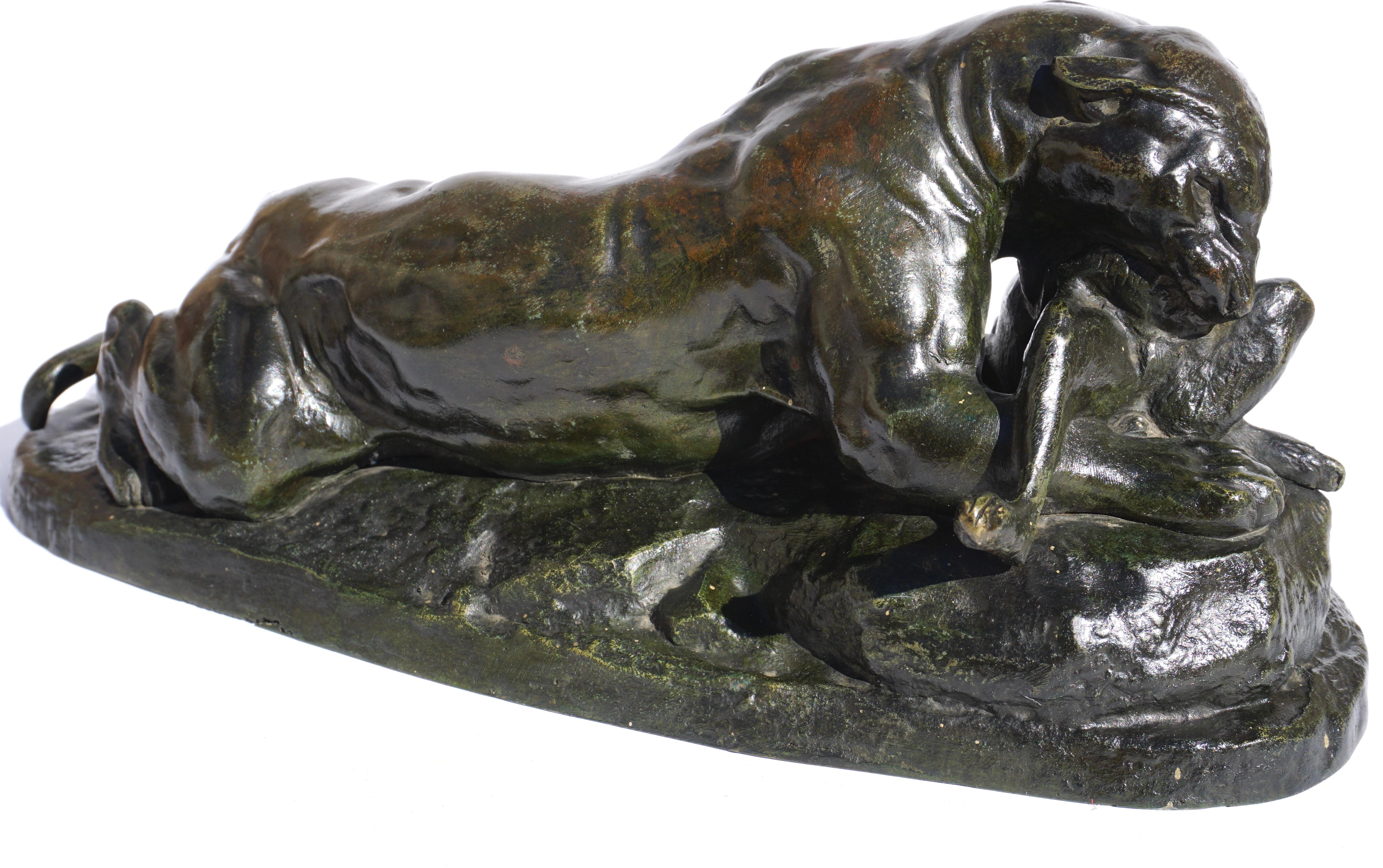 Antoine-Louis Barye (French, 1795-1875)
Jaguar dévorant un lièvre (Jaguar devouring a hare)
signed BARYE
bronze, dark-Green-brown patina
Measures: Height 5.5 inches, width 13.6 inches, depth 5.7 inches
Modeled, 1850

A wonderful early bronze