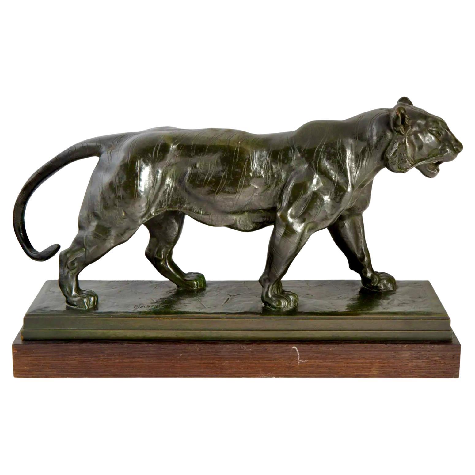 Antoine Louis Barye Tigre Qui Marche 17”